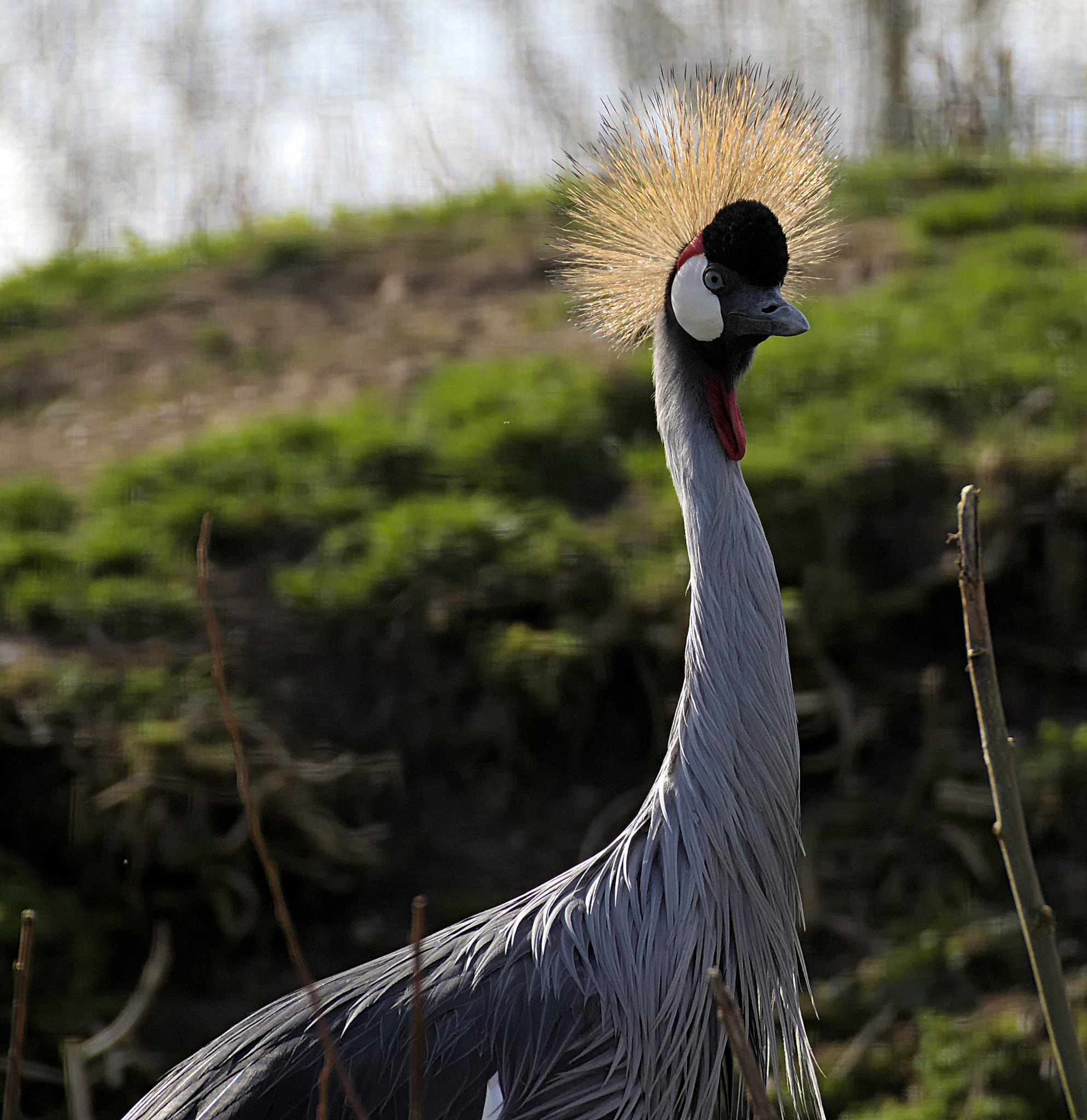 Canon EOS 77D (EOS 9000D / EOS 770D) sample photo. Img photography