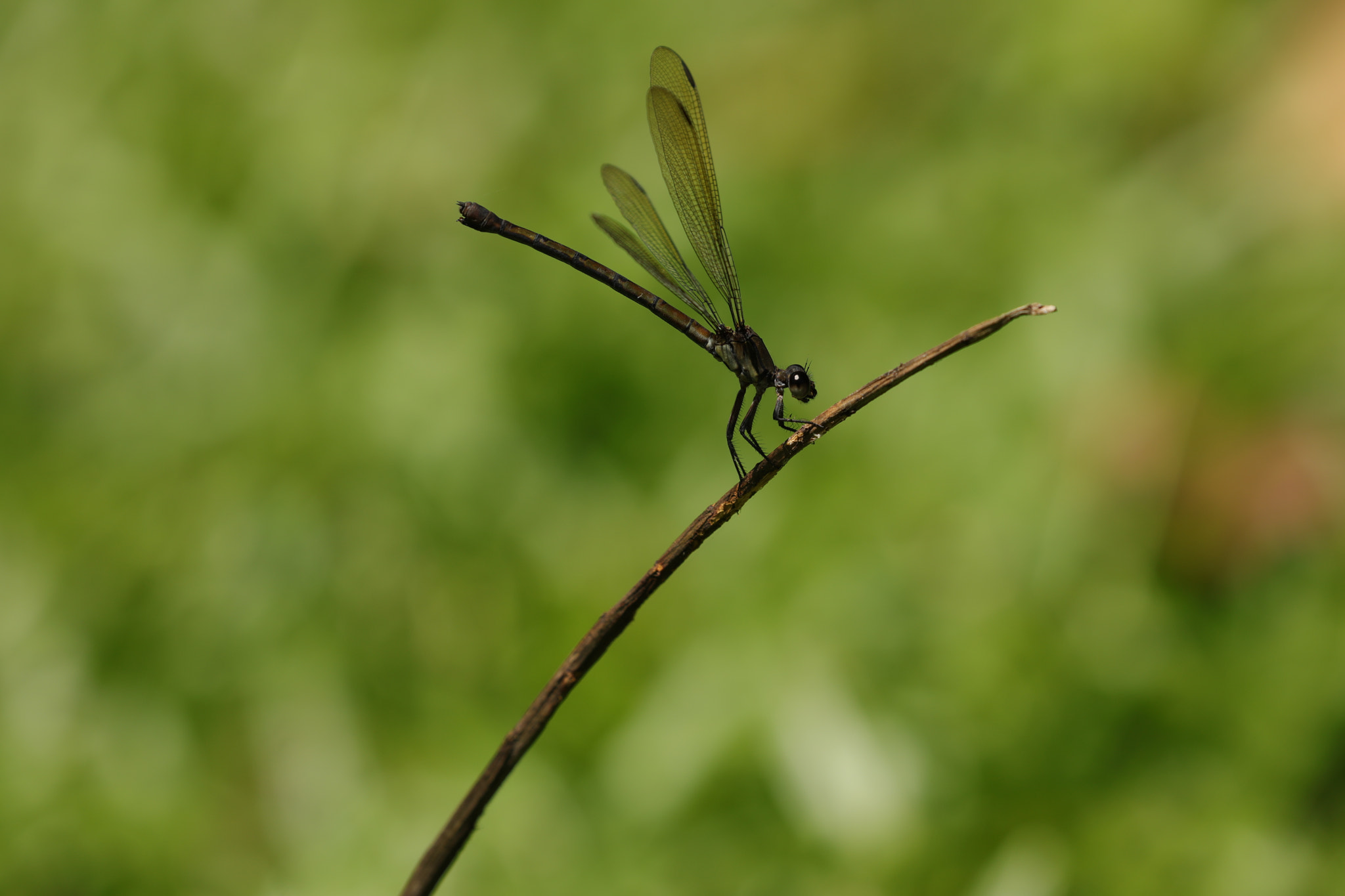 Canon EOS 5D Mark IV sample photo. 0u9a1327_1.jpg photography