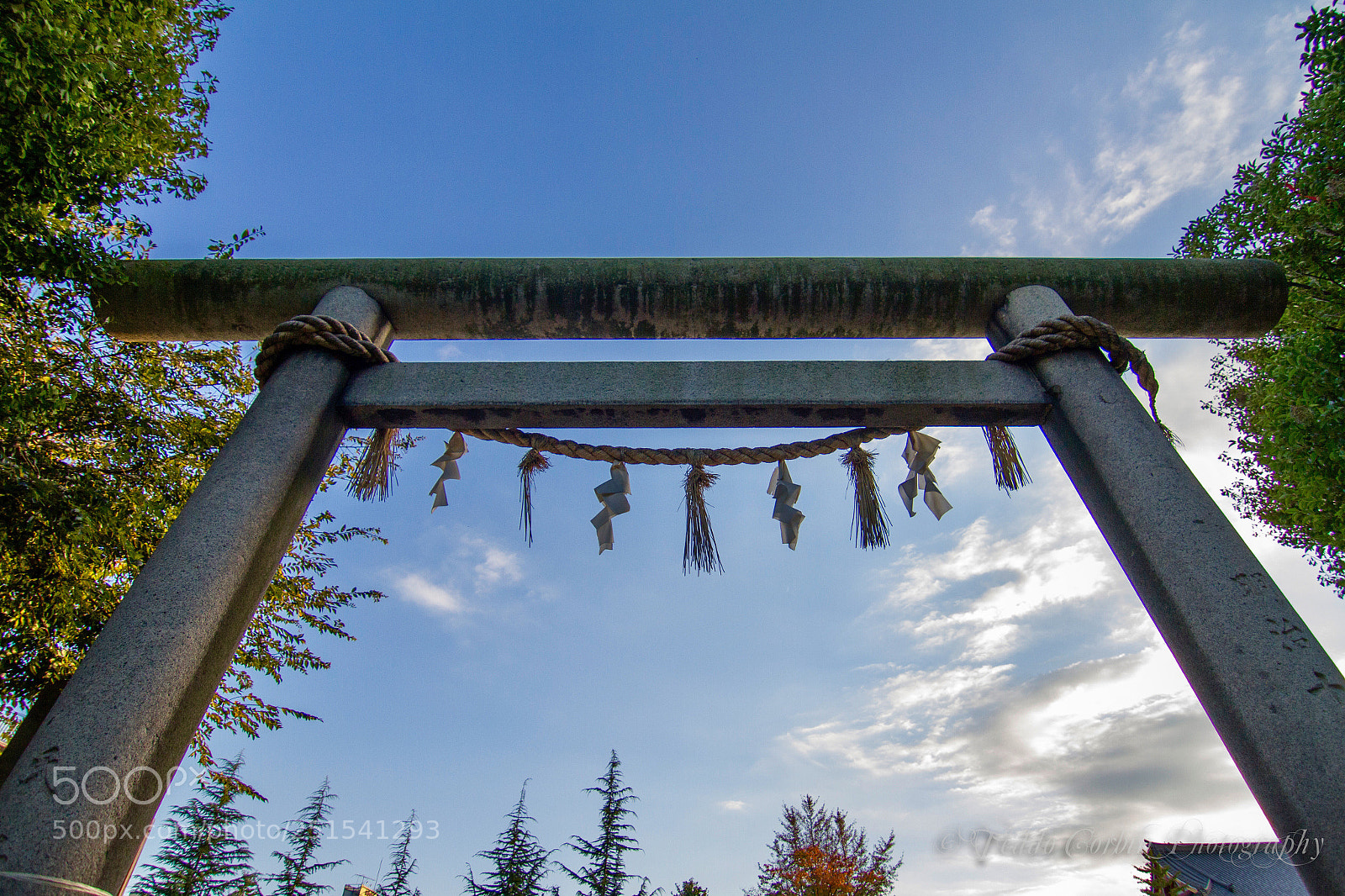 Canon EOS 7D sample photo. Shrine nori photography