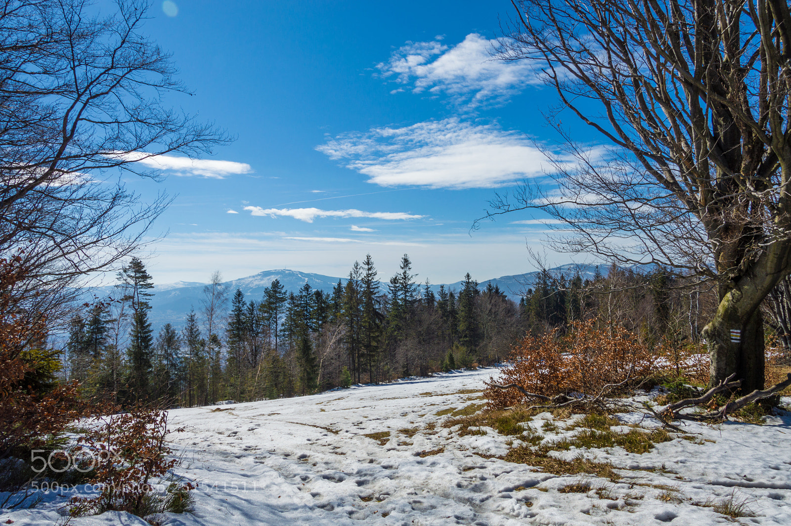 Nikon D3200 sample photo. Czupel photography