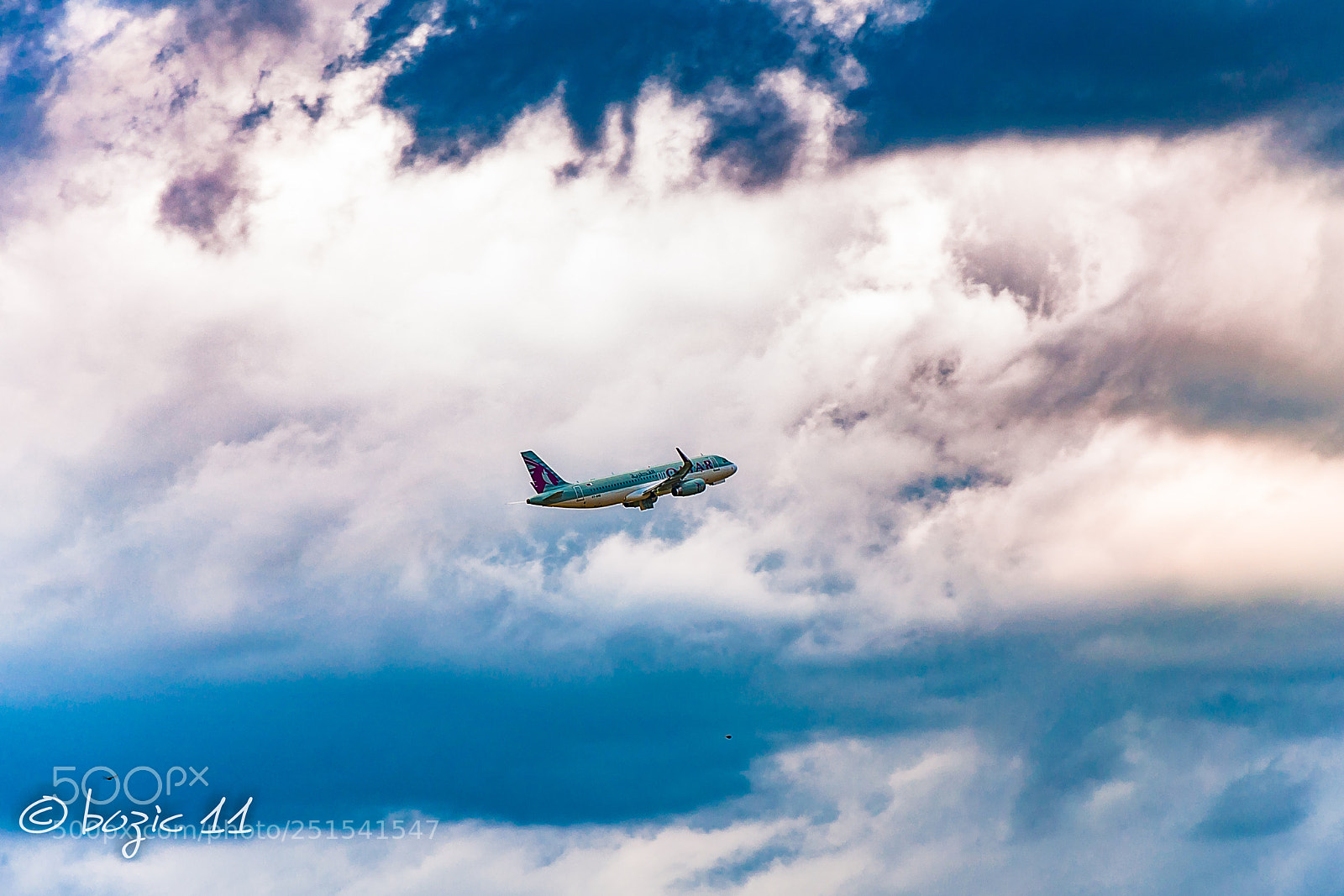 Nikon D90 sample photo. Aplane photography