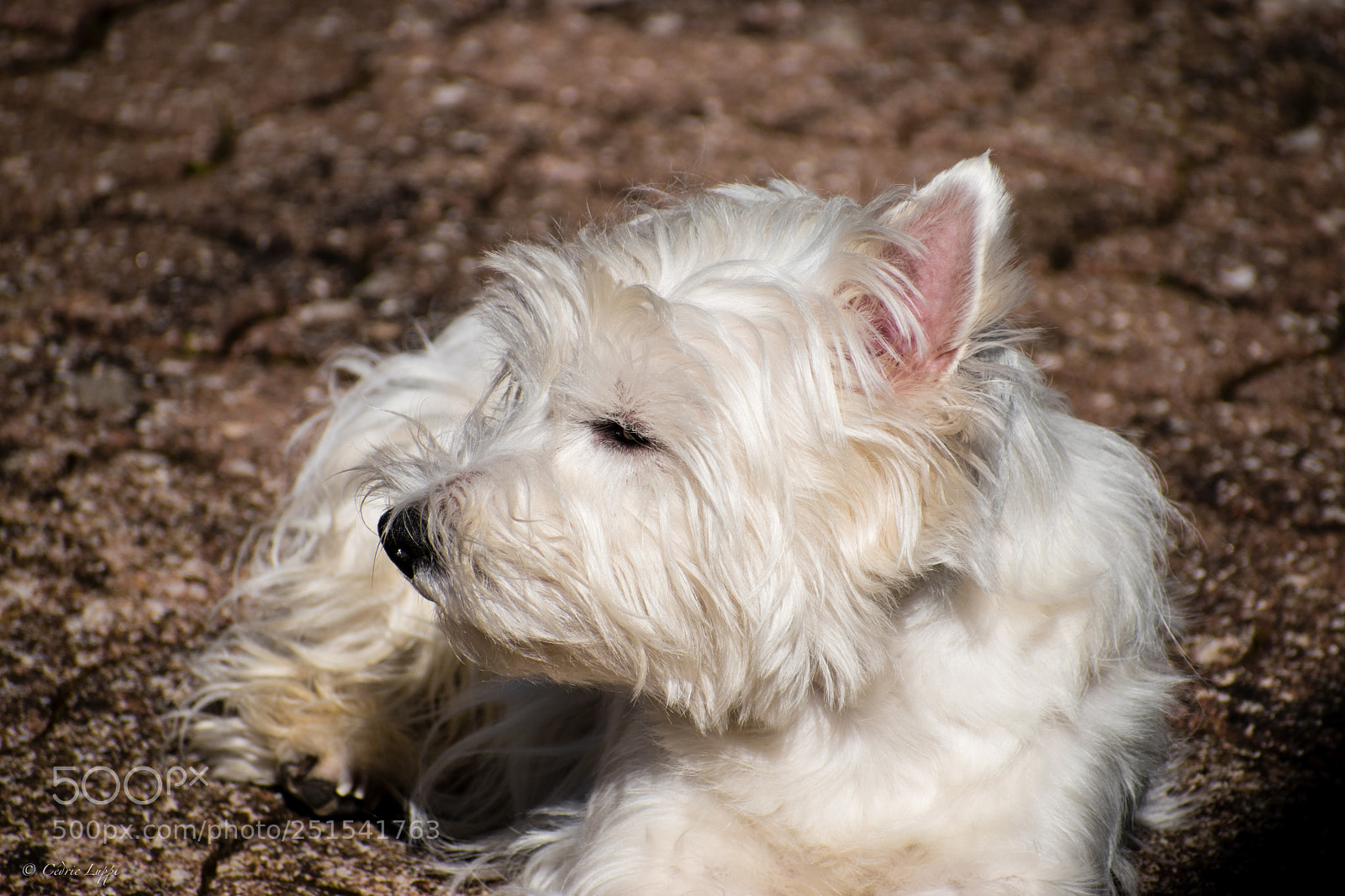 Nikon D5500 sample photo. Horizon photography