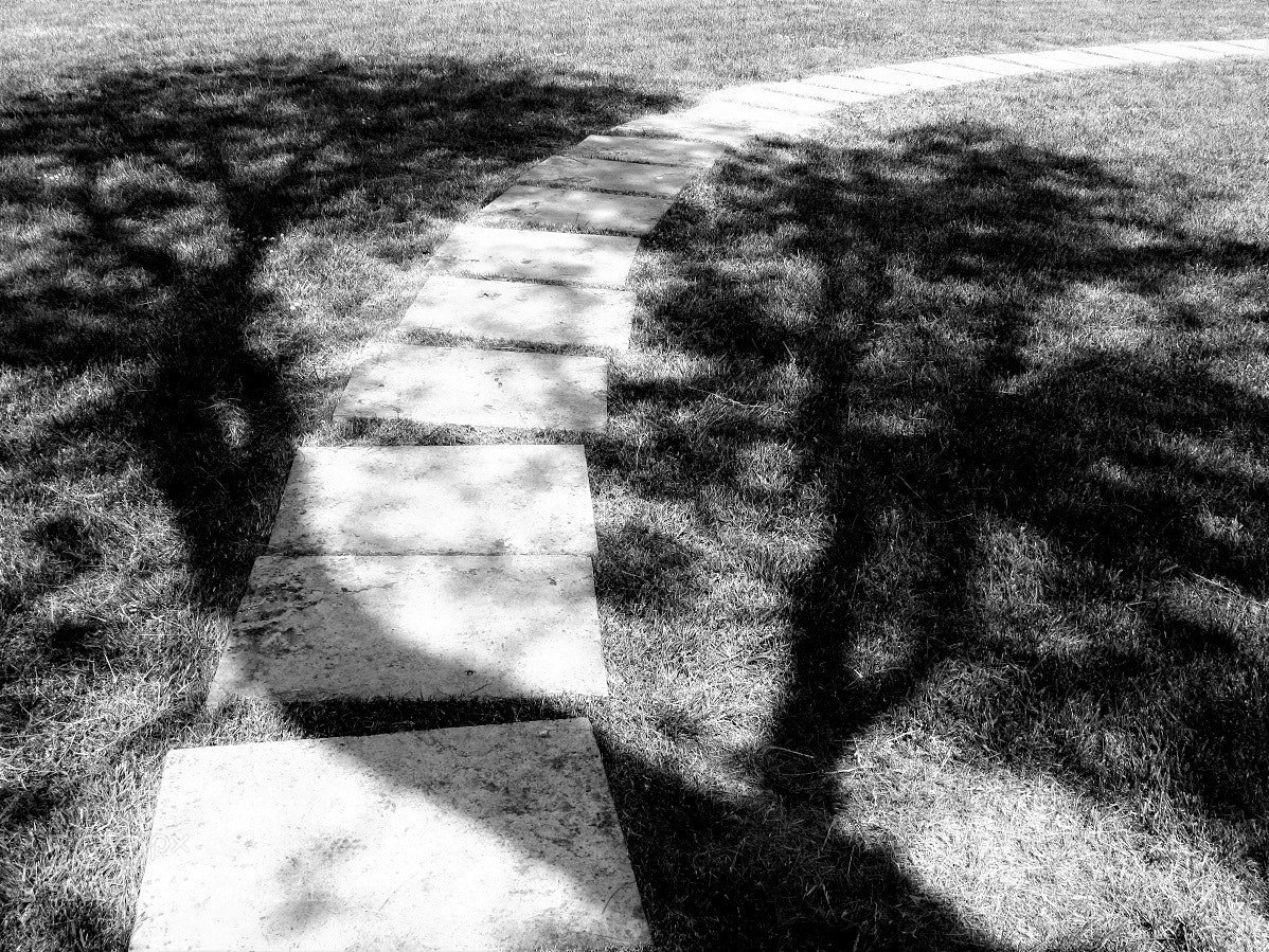 Canon POWERSHOT G9 sample photo. Untitled photography