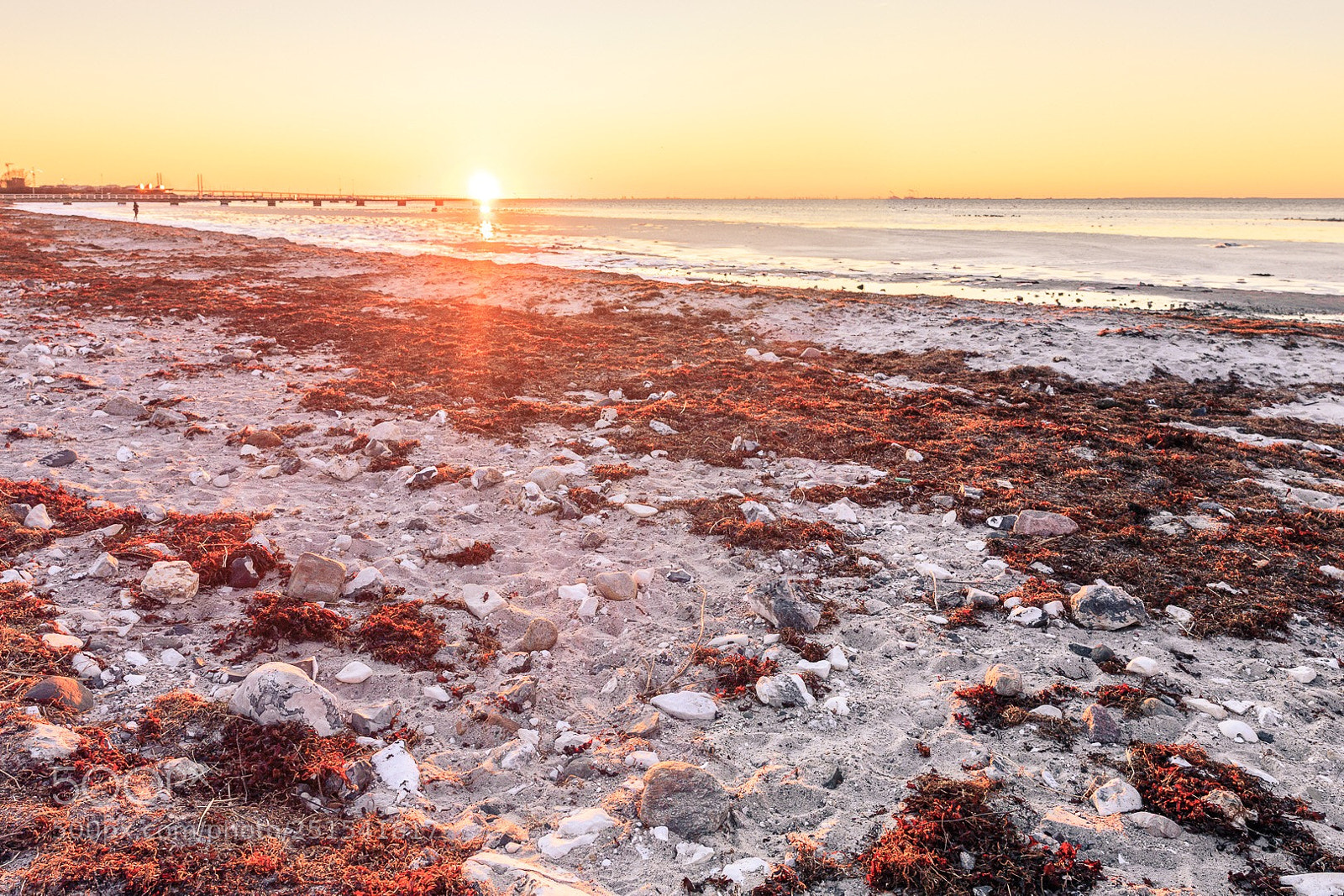 Canon EOS 80D sample photo. Malmö sunset photography