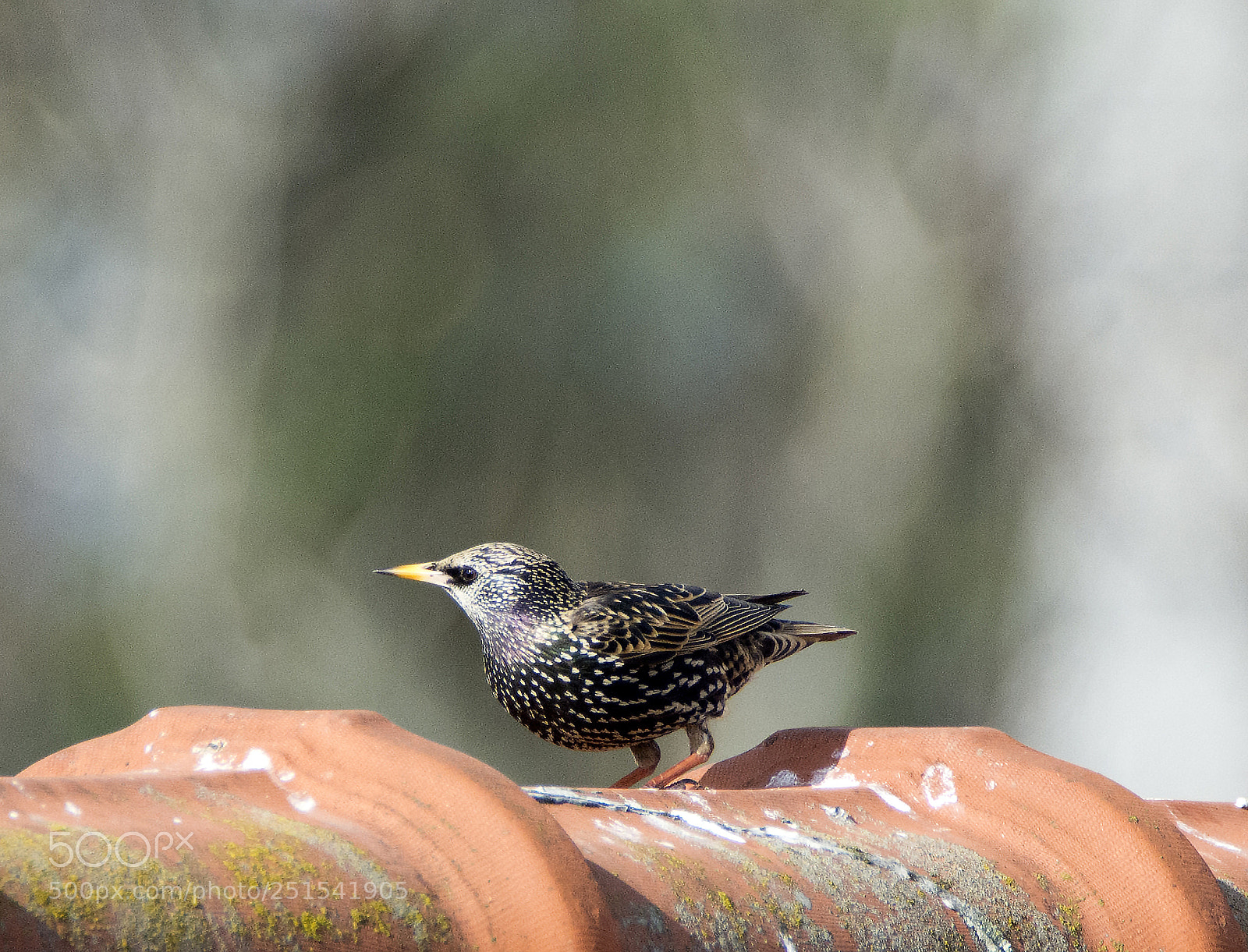 Nikon D7100 sample photo. Room with a view photography