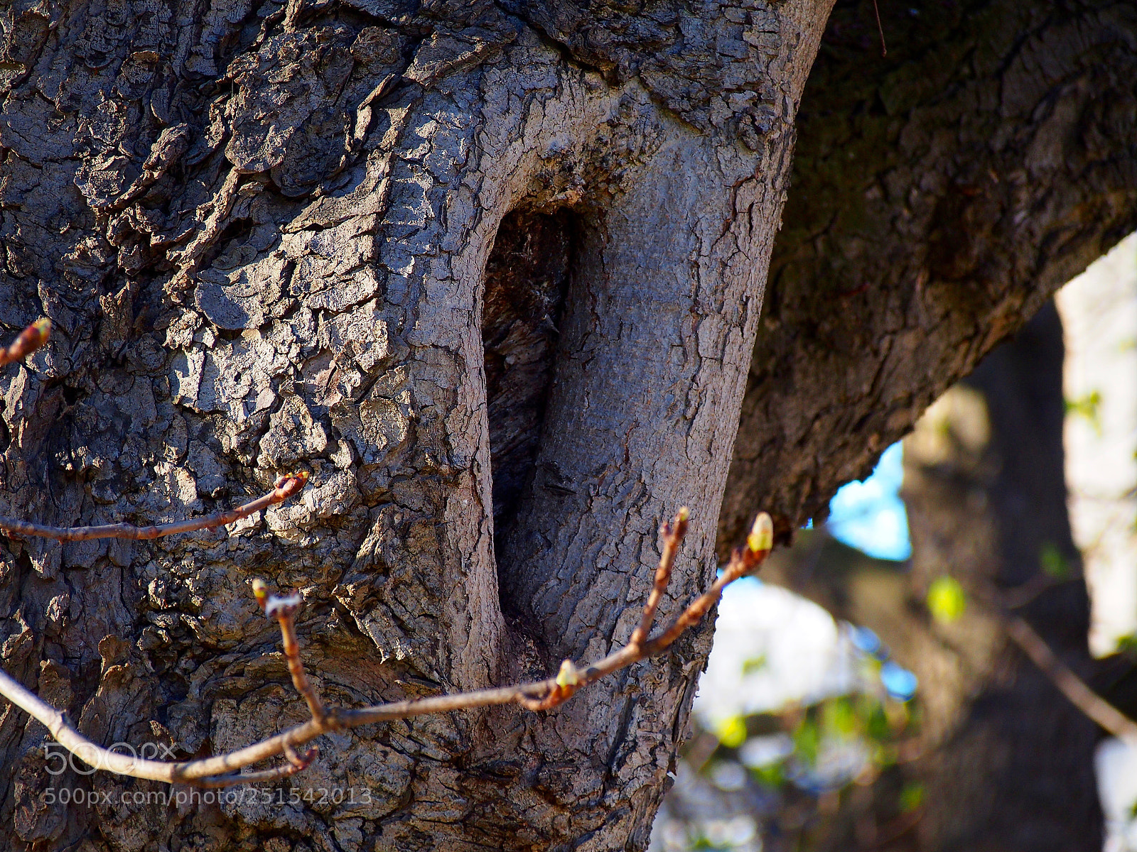 Olympus PEN E-PL6 sample photo. Experience photography