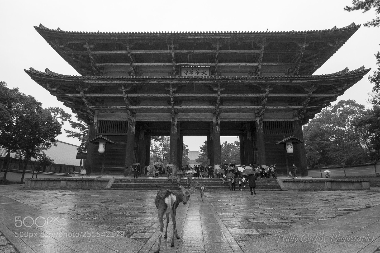Canon EOS 7D sample photo. Nara gate photography
