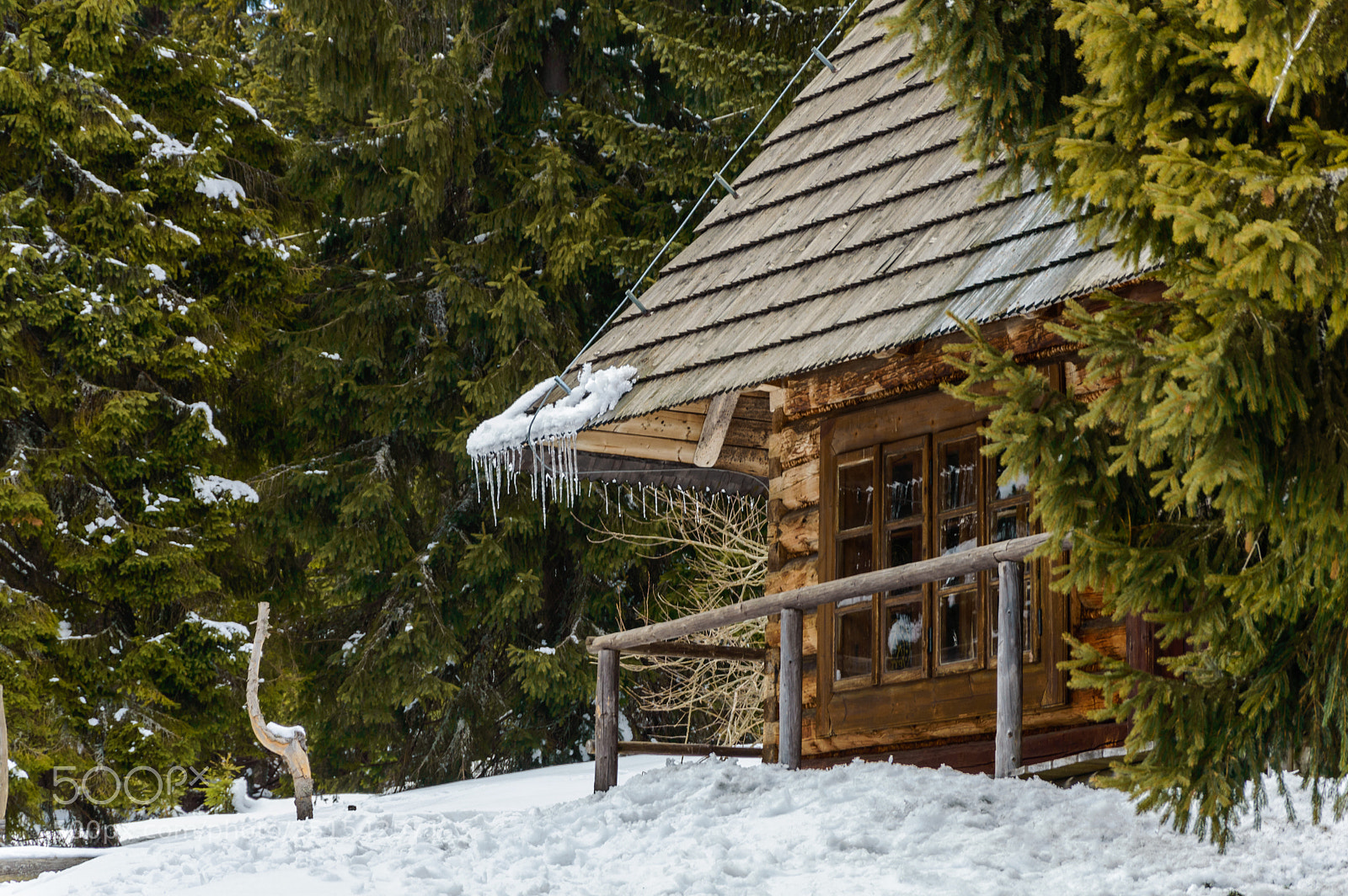 Nikon D3200 sample photo. Frozen house photography