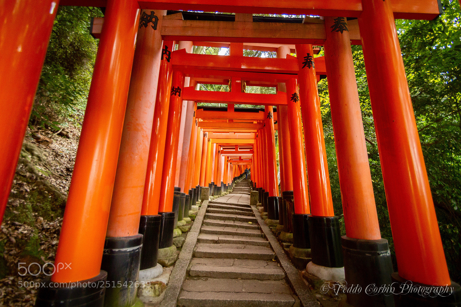 Canon EOS 7D sample photo. Fushimi inari tori gates photography