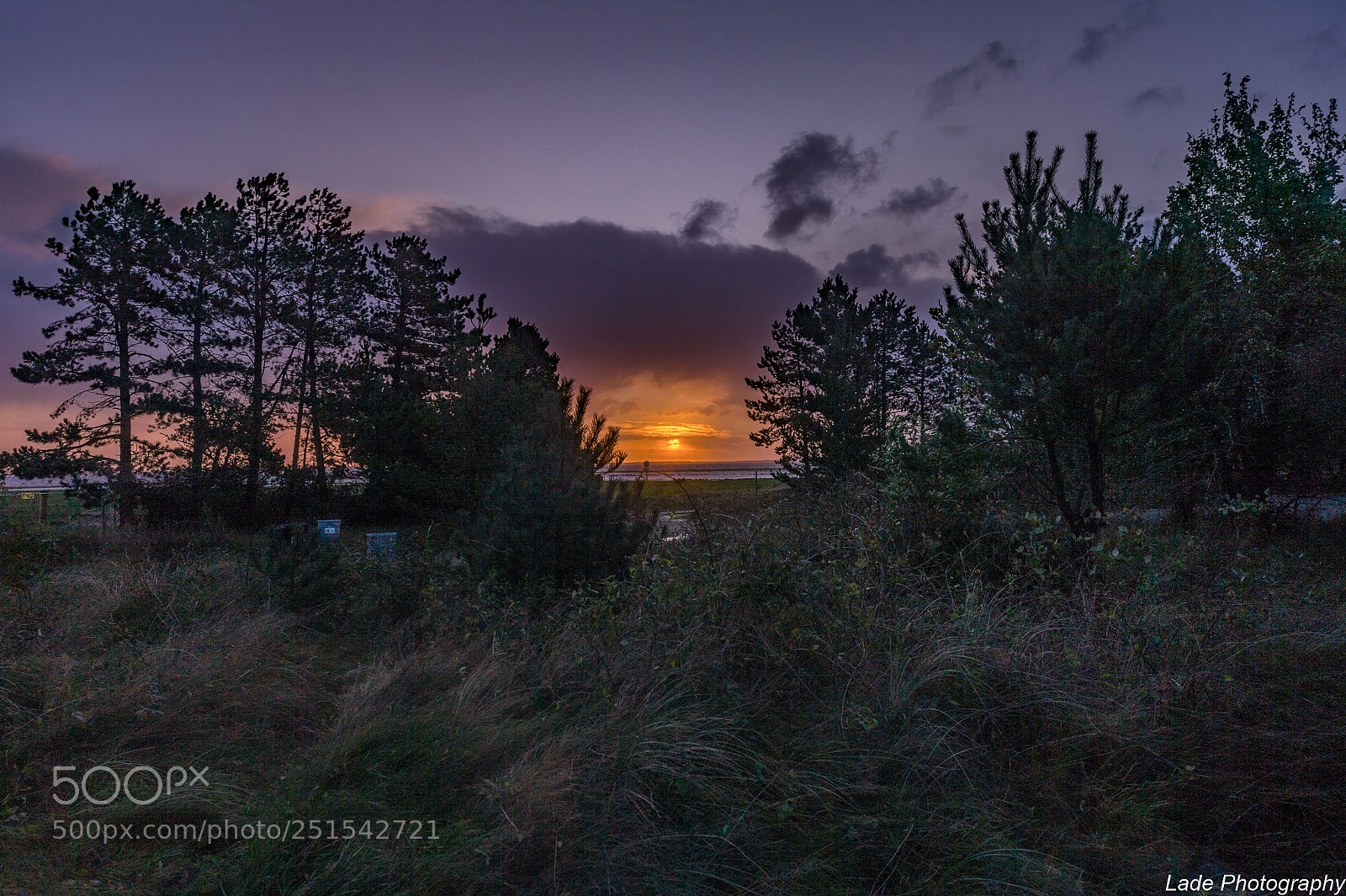 Nikon D4 sample photo. A new sun rises photography