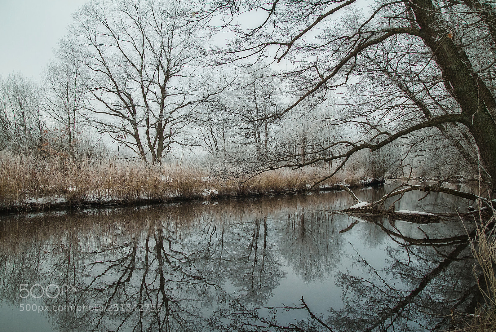 Canon EOS 7D sample photo. Winter mirror photography