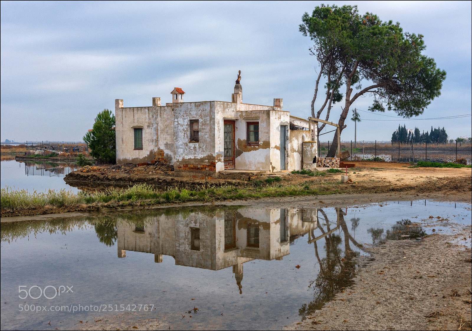 Nikon D7200 sample photo. Delta de l'ebre photography