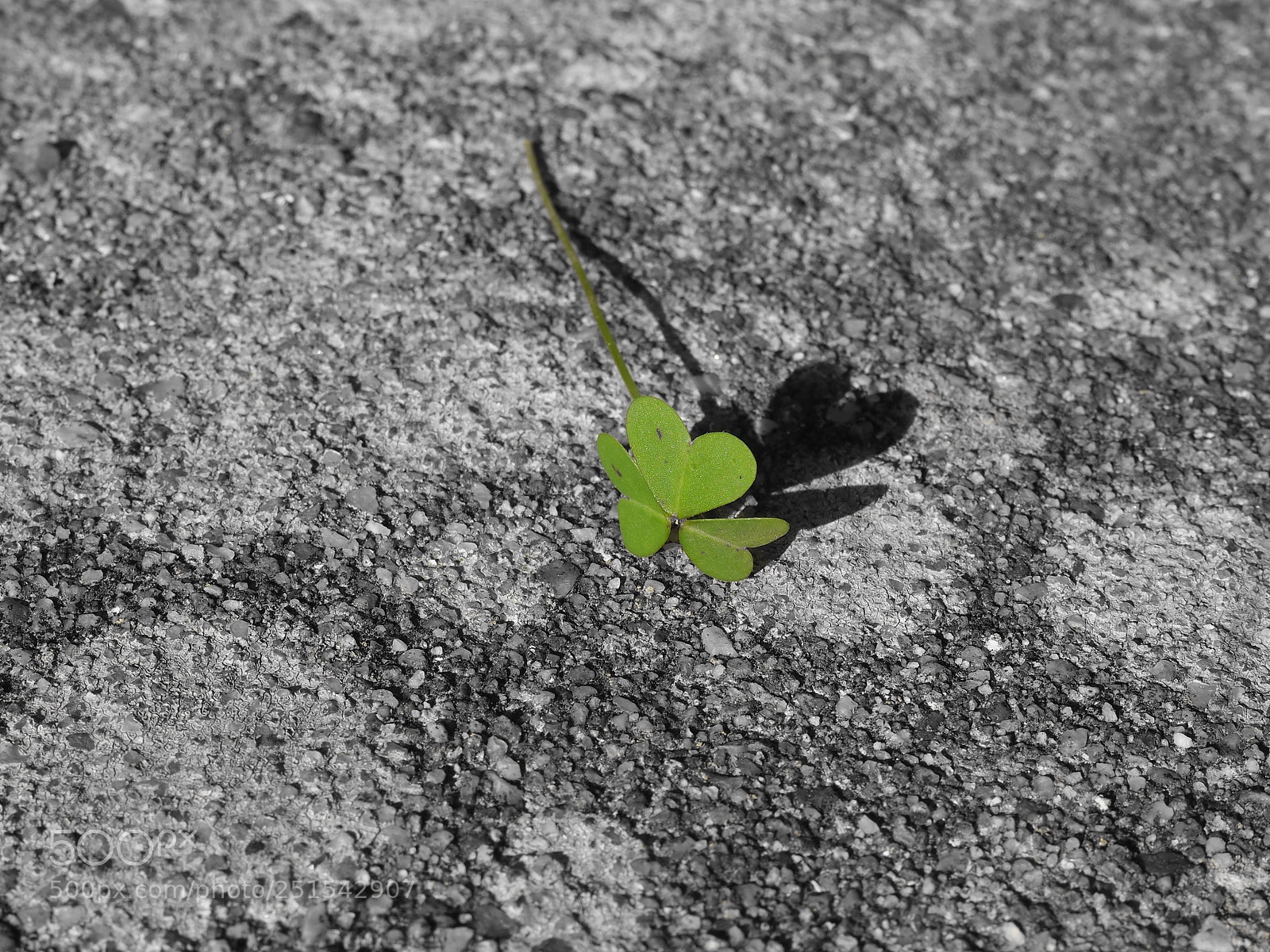 Olympus OM-D E-M10 II sample photo. Shadow photography