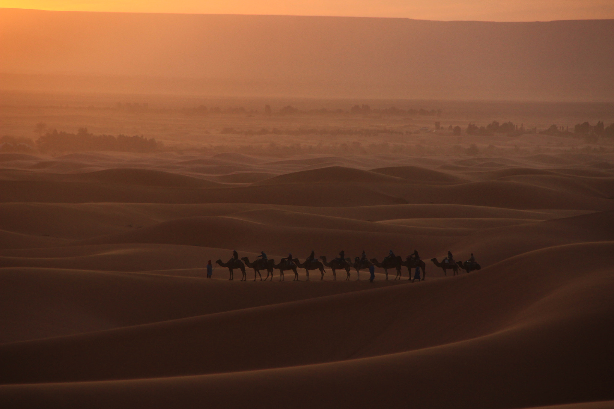Canon EOS 600D (Rebel EOS T3i / EOS Kiss X5) sample photo. Camels in the desert photography