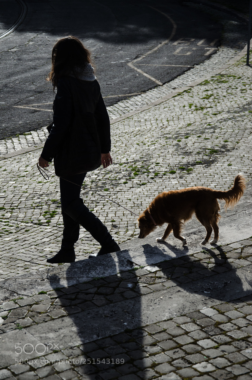 Nikon D7000 sample photo. Lady with a dog photography
