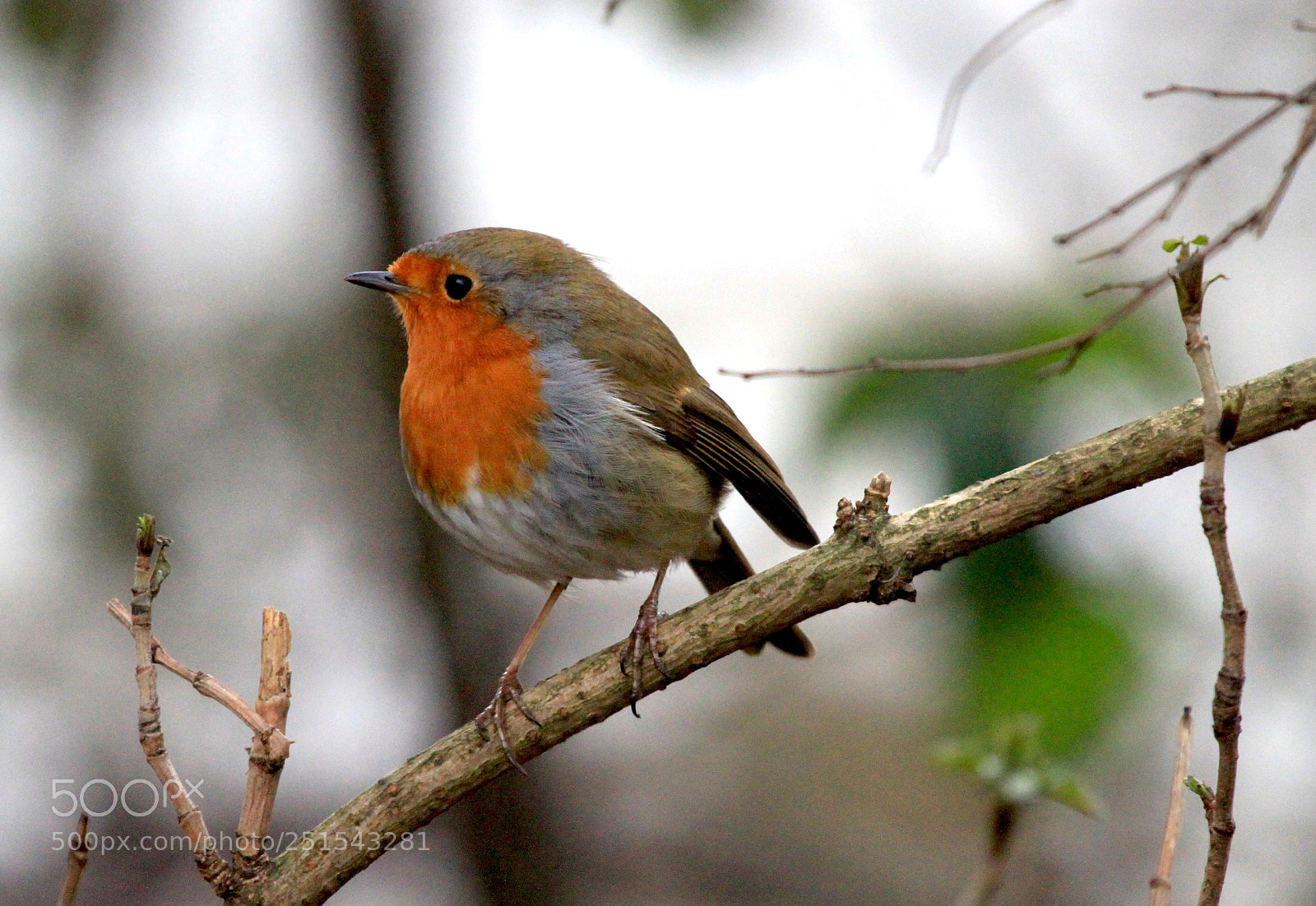 Canon EOS 7D sample photo. :) photography