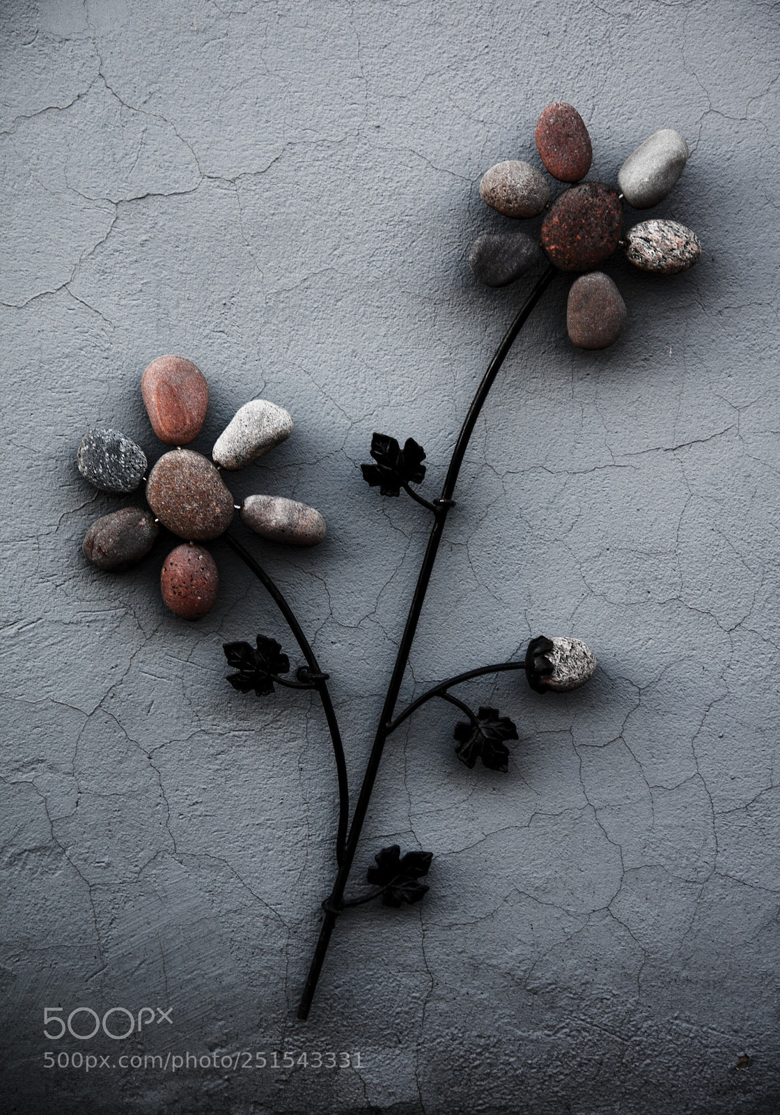 Canon EOS 450D (EOS Rebel XSi / EOS Kiss X2) sample photo. Stone flowers photography