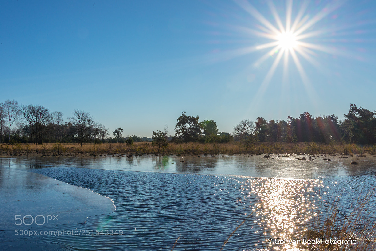 Nikon D610 sample photo. Kromvennen, kampina photography