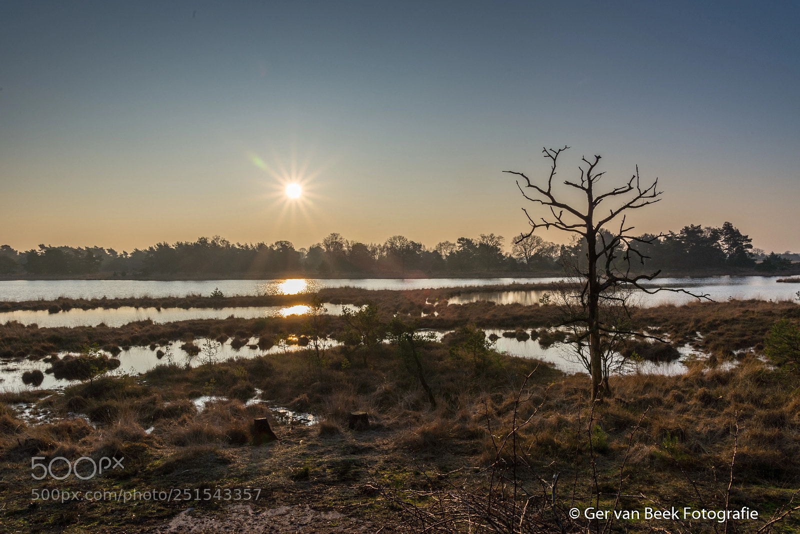 Nikon D610 sample photo. Kogelvangersven, kampina photography