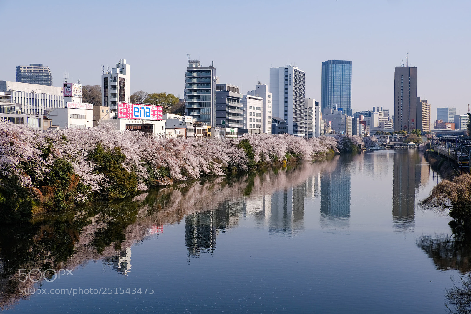 Fujifilm X-Pro2 sample photo. Spring tokyo photography