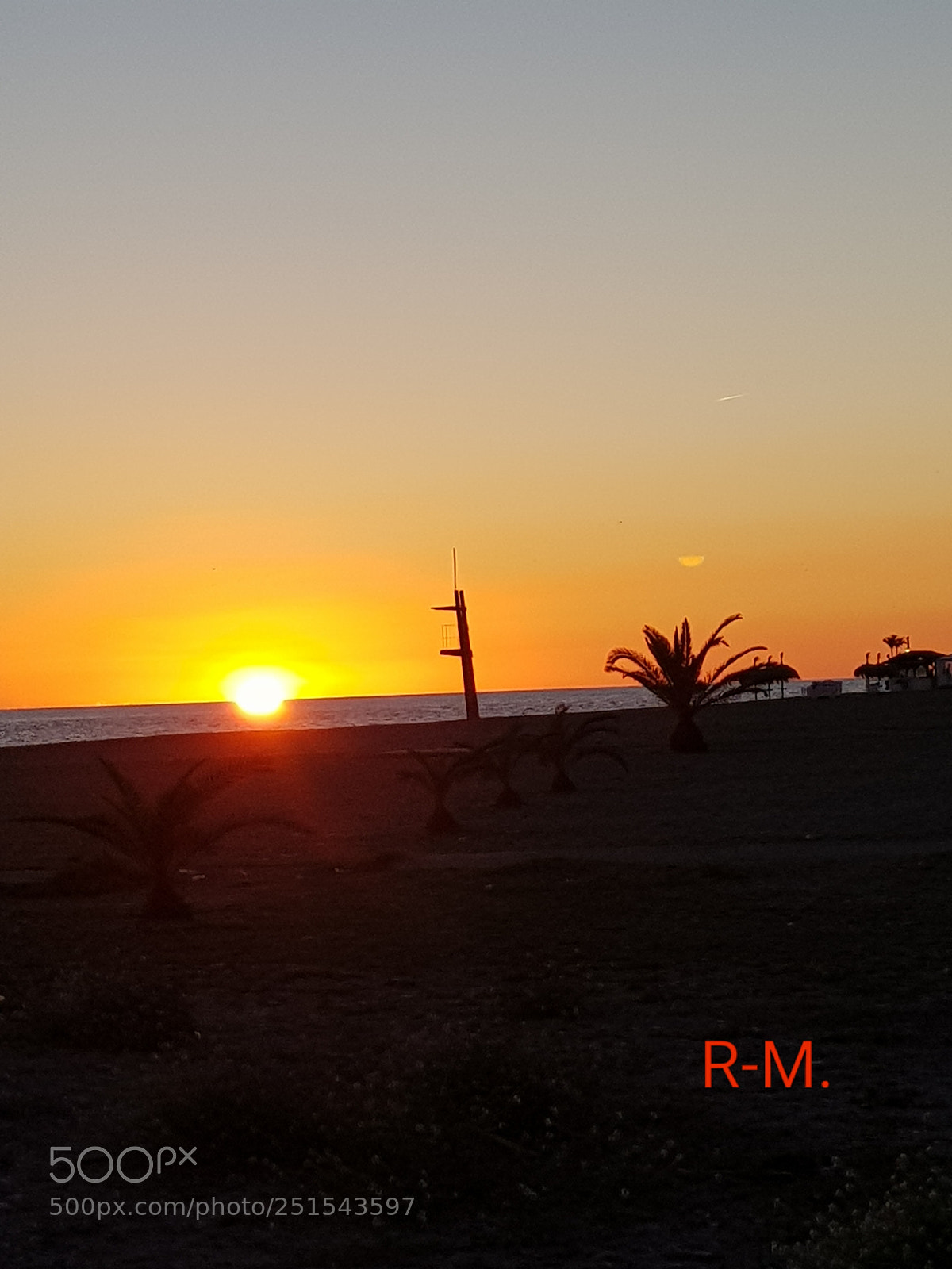 Samsung Galaxy S8+ sample photo. Untitled photography