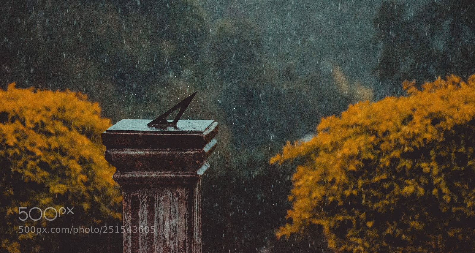 Nikon D7000 sample photo. Times rain photography