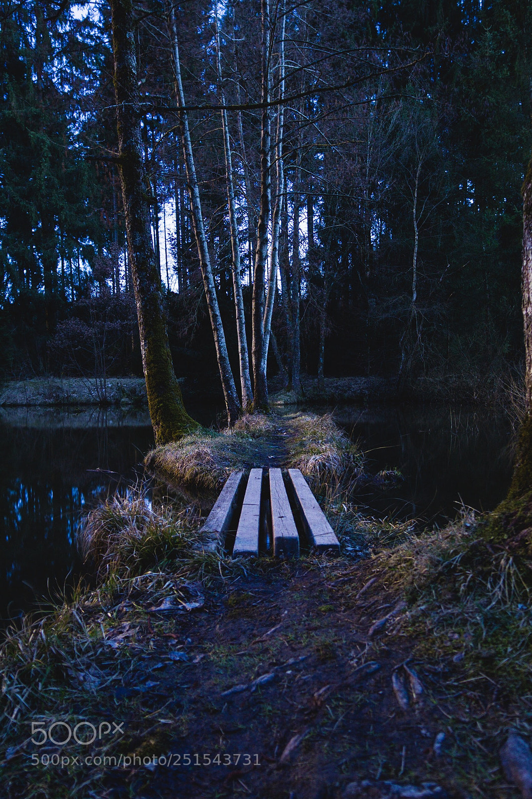 Sony a5100 sample photo. Moonlight  photography