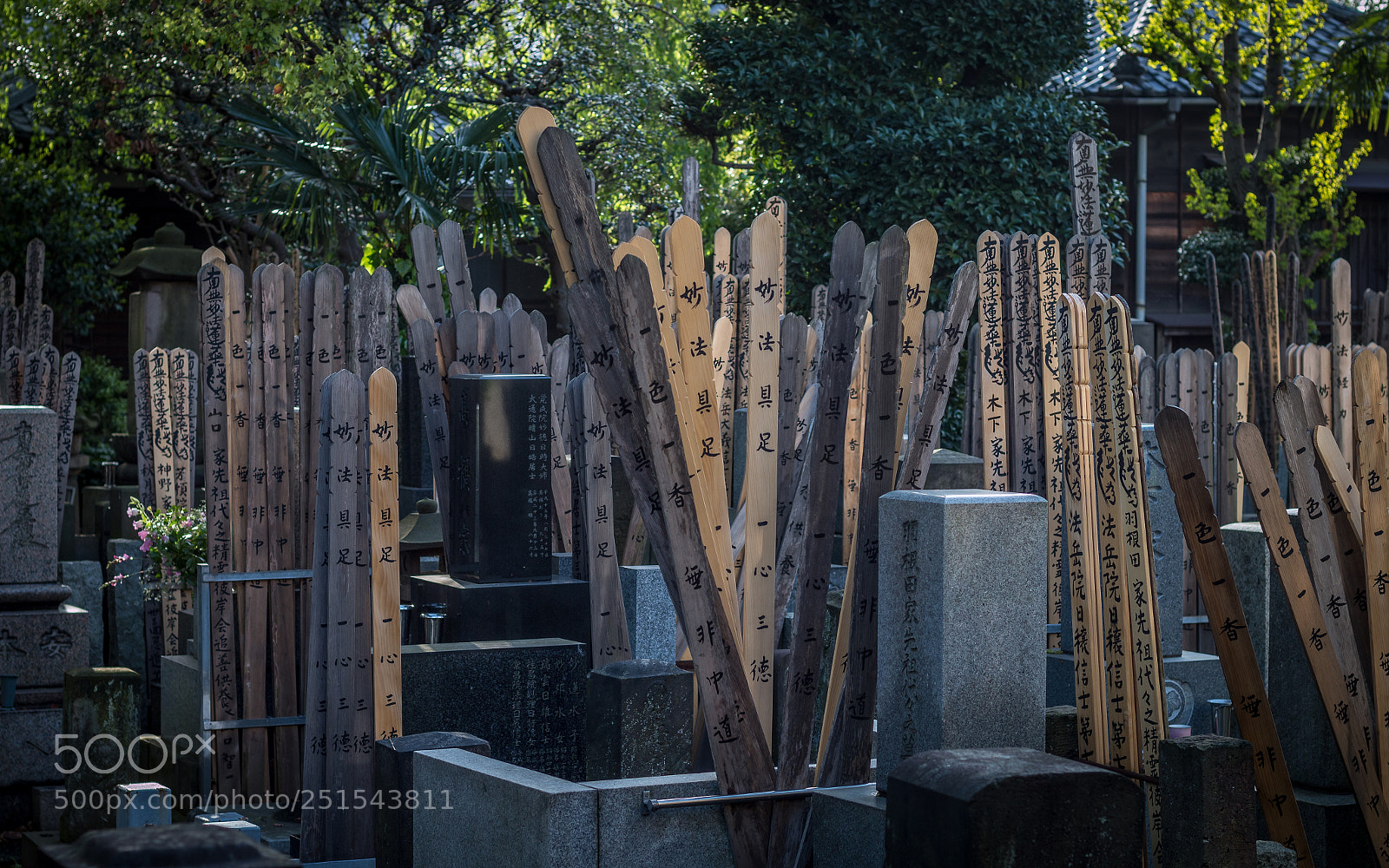 Canon EOS 70D sample photo. Japanese graveyard photography