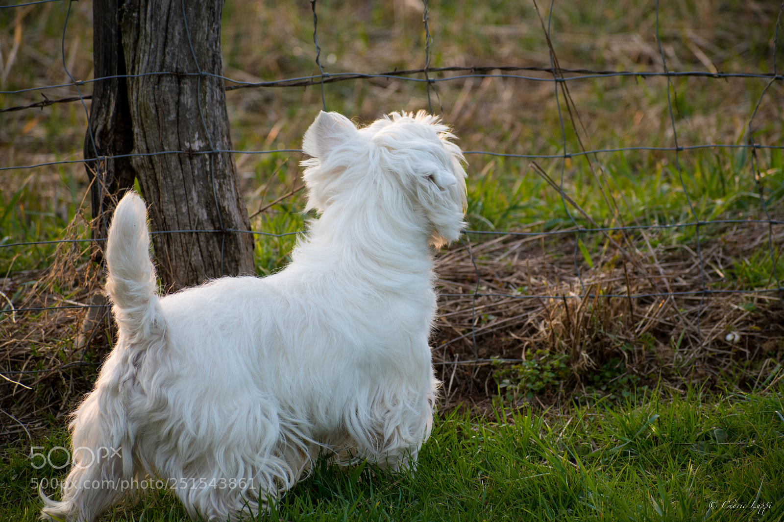 Nikon D5500 sample photo. Look up to someone photography