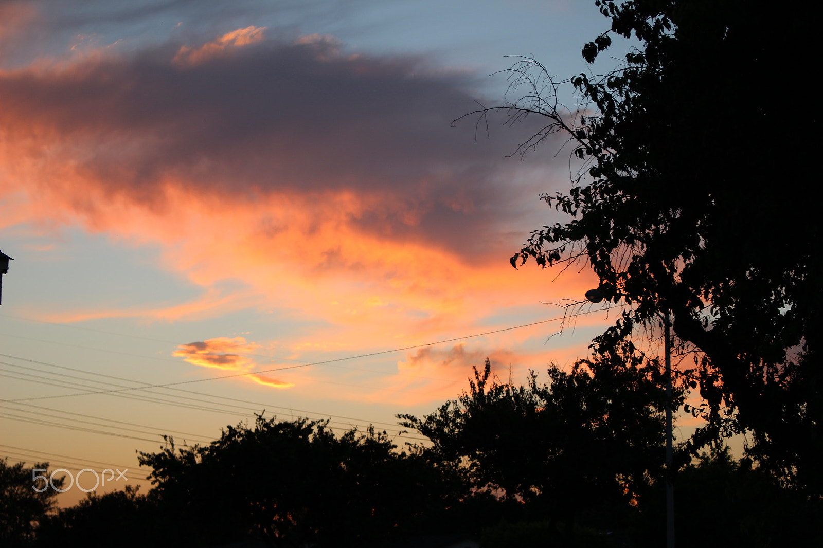 Canon EOS 100D (EOS Rebel SL1 / EOS Kiss X7) sample photo. What pastel dreams are made of photography