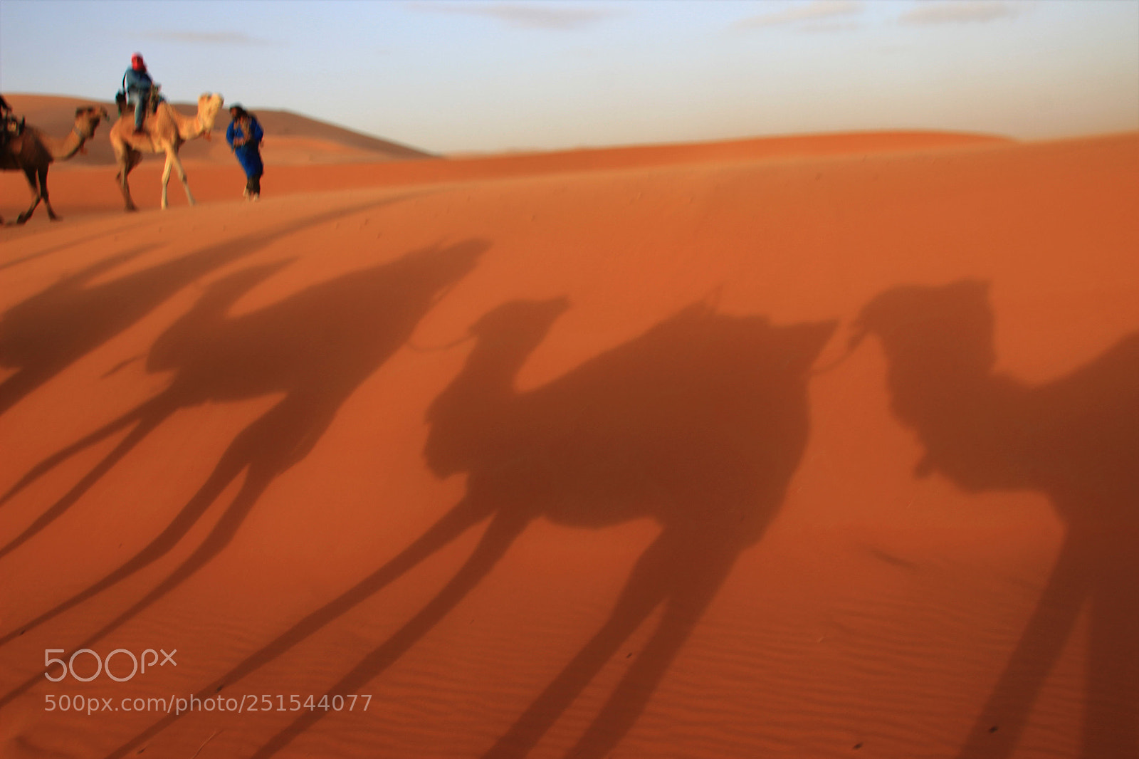 Canon EOS 600D (Rebel EOS T3i / EOS Kiss X5) sample photo. Camel caravan photography