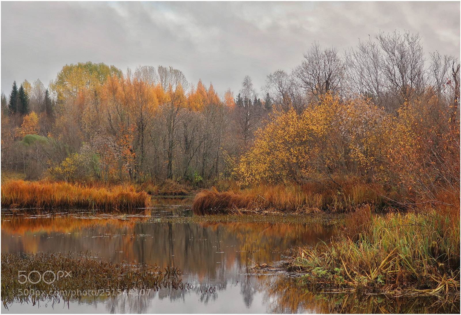 Canon PowerShot G9 X Mark II sample photo. Осень photography