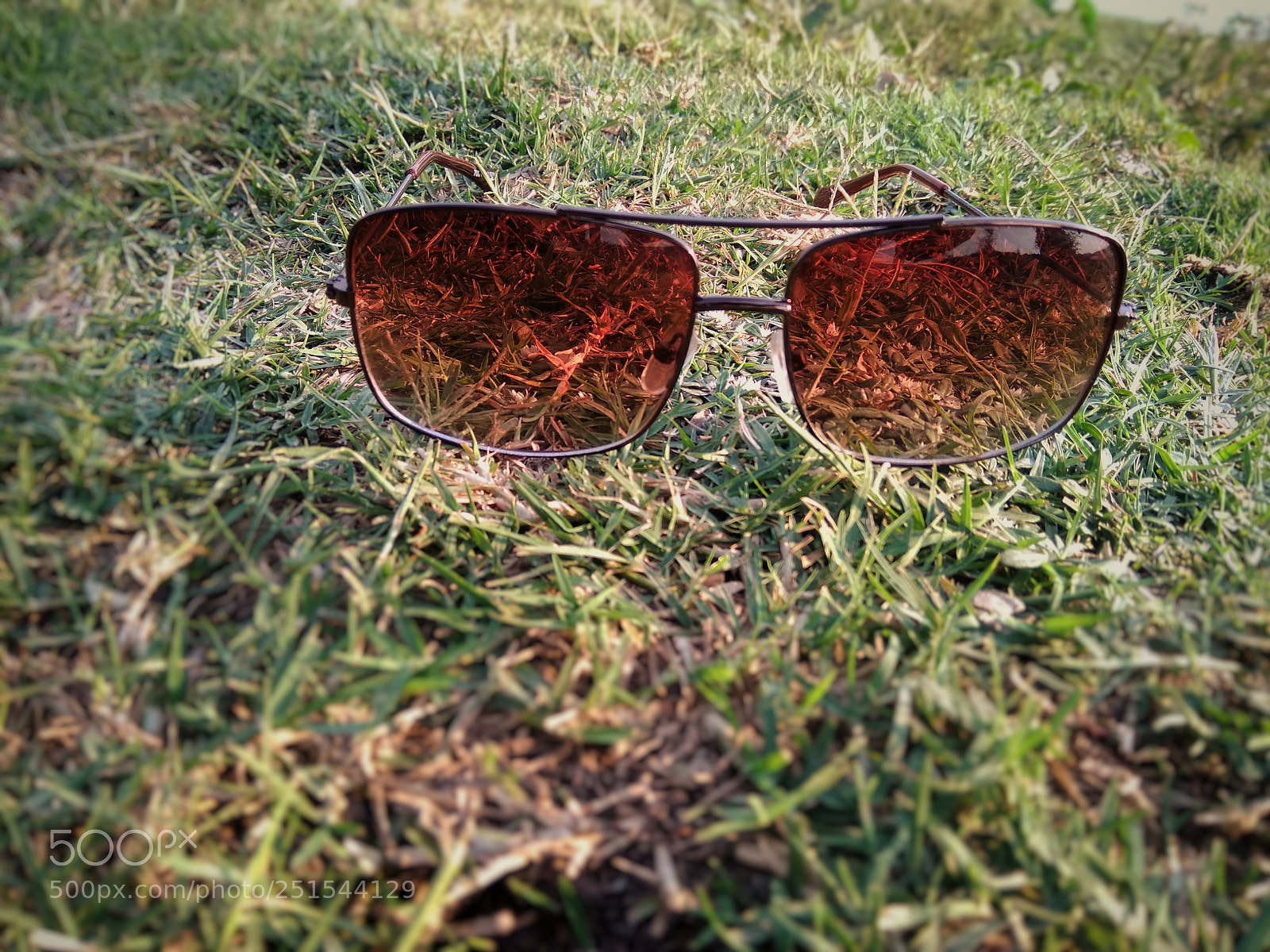 Xiaomi Redmi Note 4 sample photo. Untitled photography
