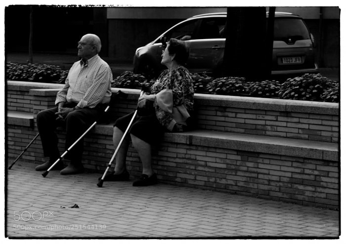 Olympus OM-D E-M1 Mark II sample photo. . photography