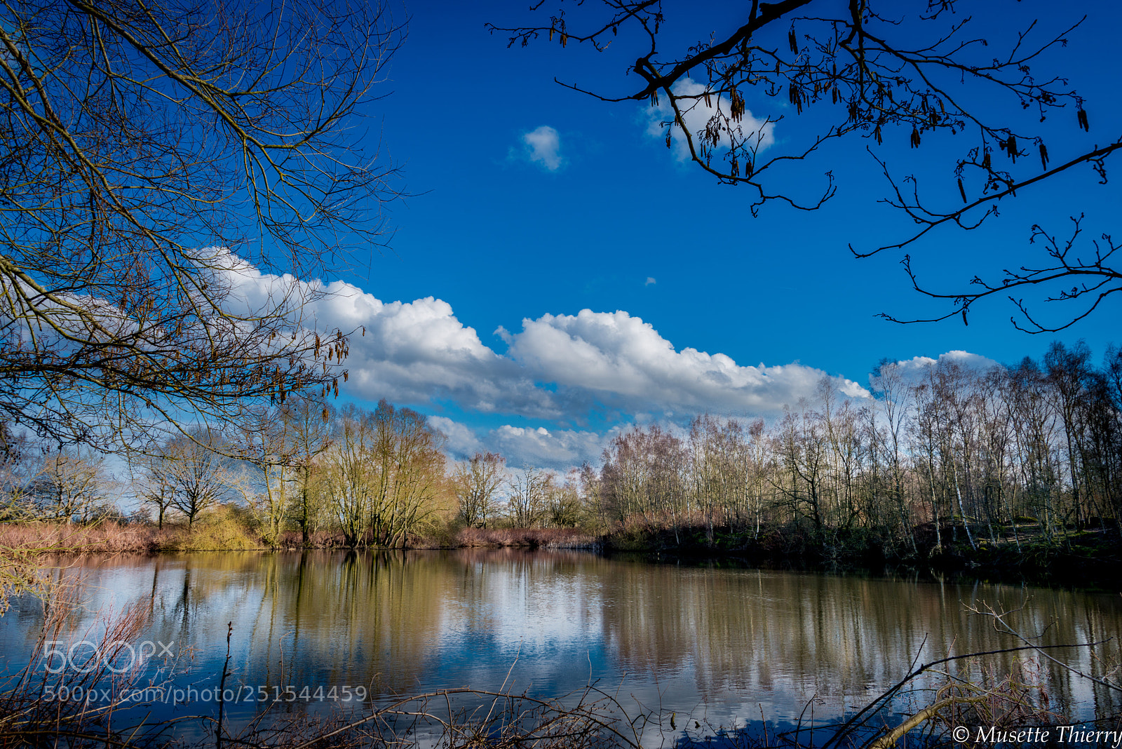 Nikon D800 sample photo. Le plein de nature photography
