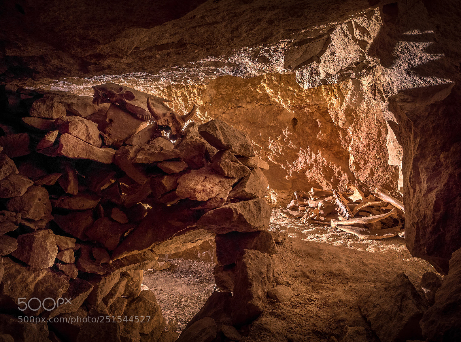 Olympus OM-D E-M5 II sample photo. Bones in the cave photography