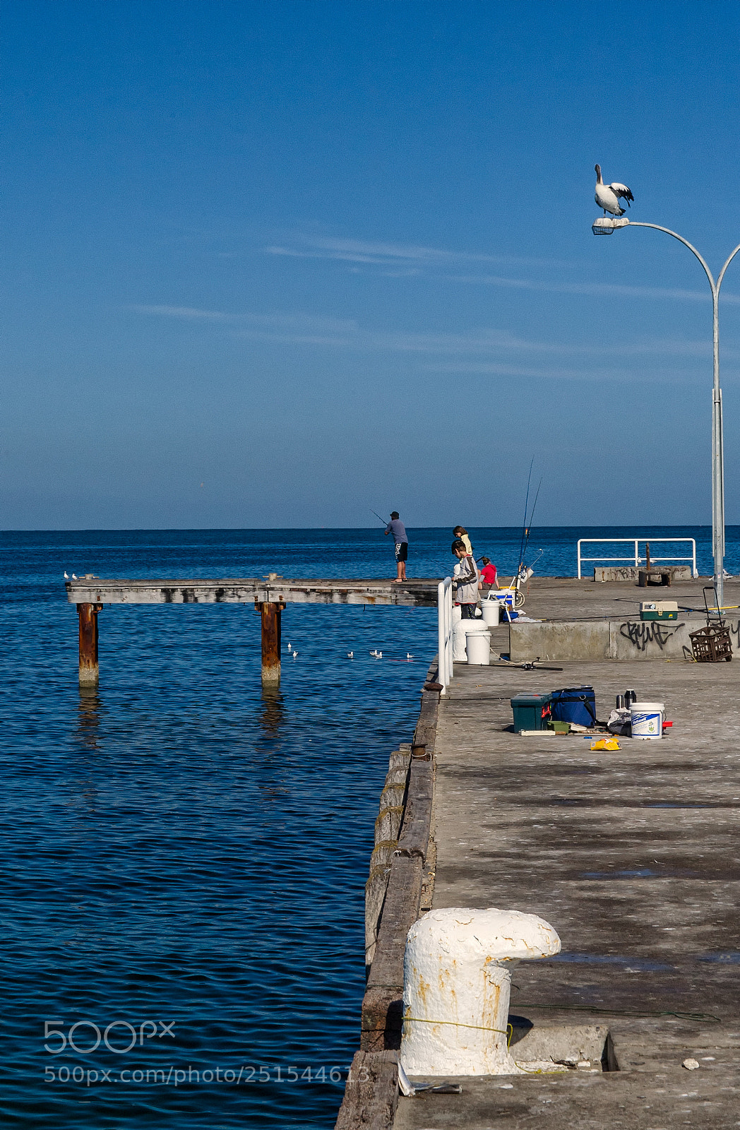 Canon EOS 5D sample photo. Woodman point photography