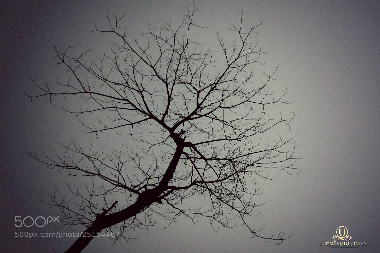 Xiaomi MI 5 sample photo. Untitled photography