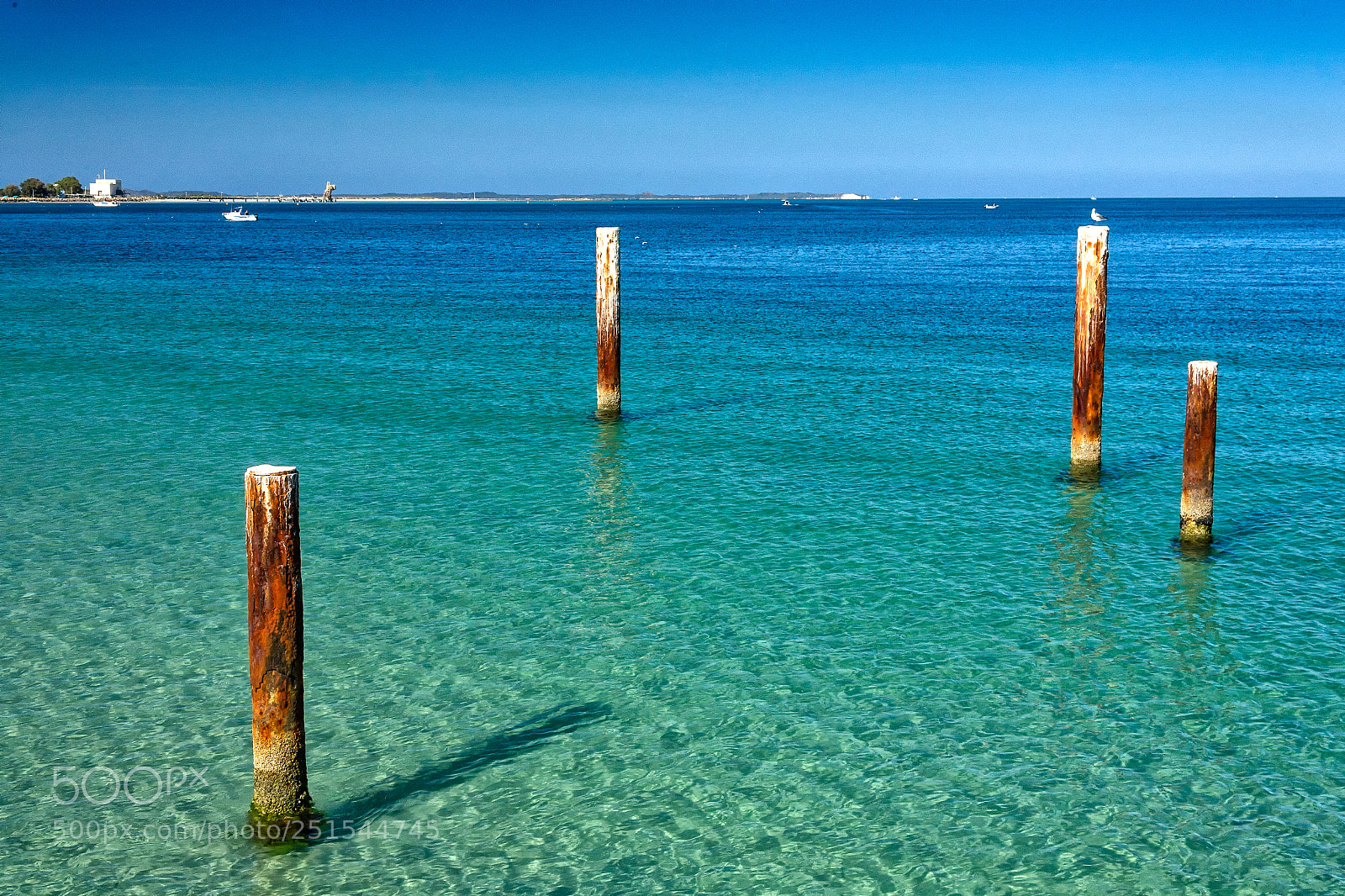 Canon EOS 5D sample photo. Woodman point photography