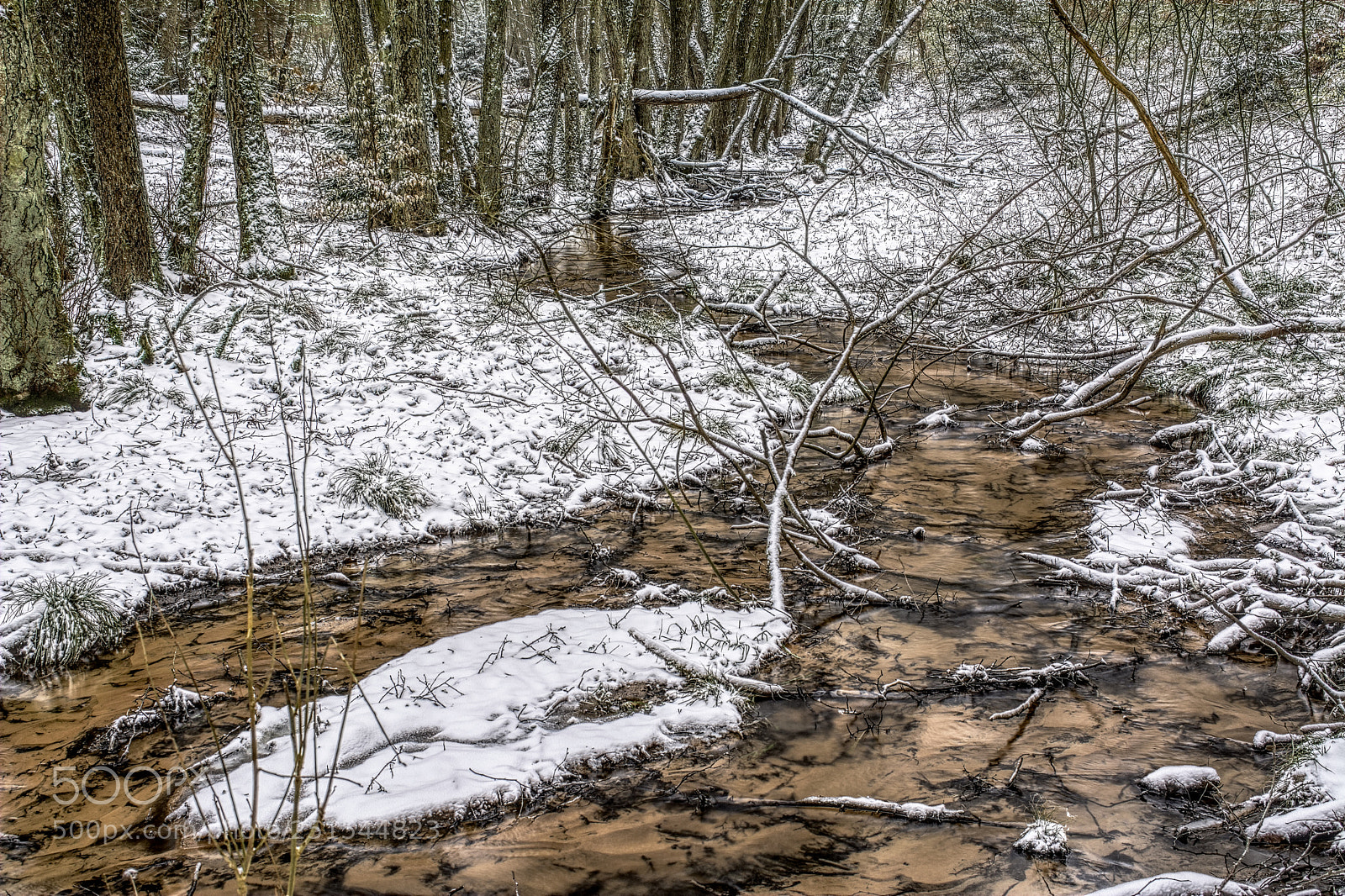 Nikon D7100 sample photo. Creek32 photography