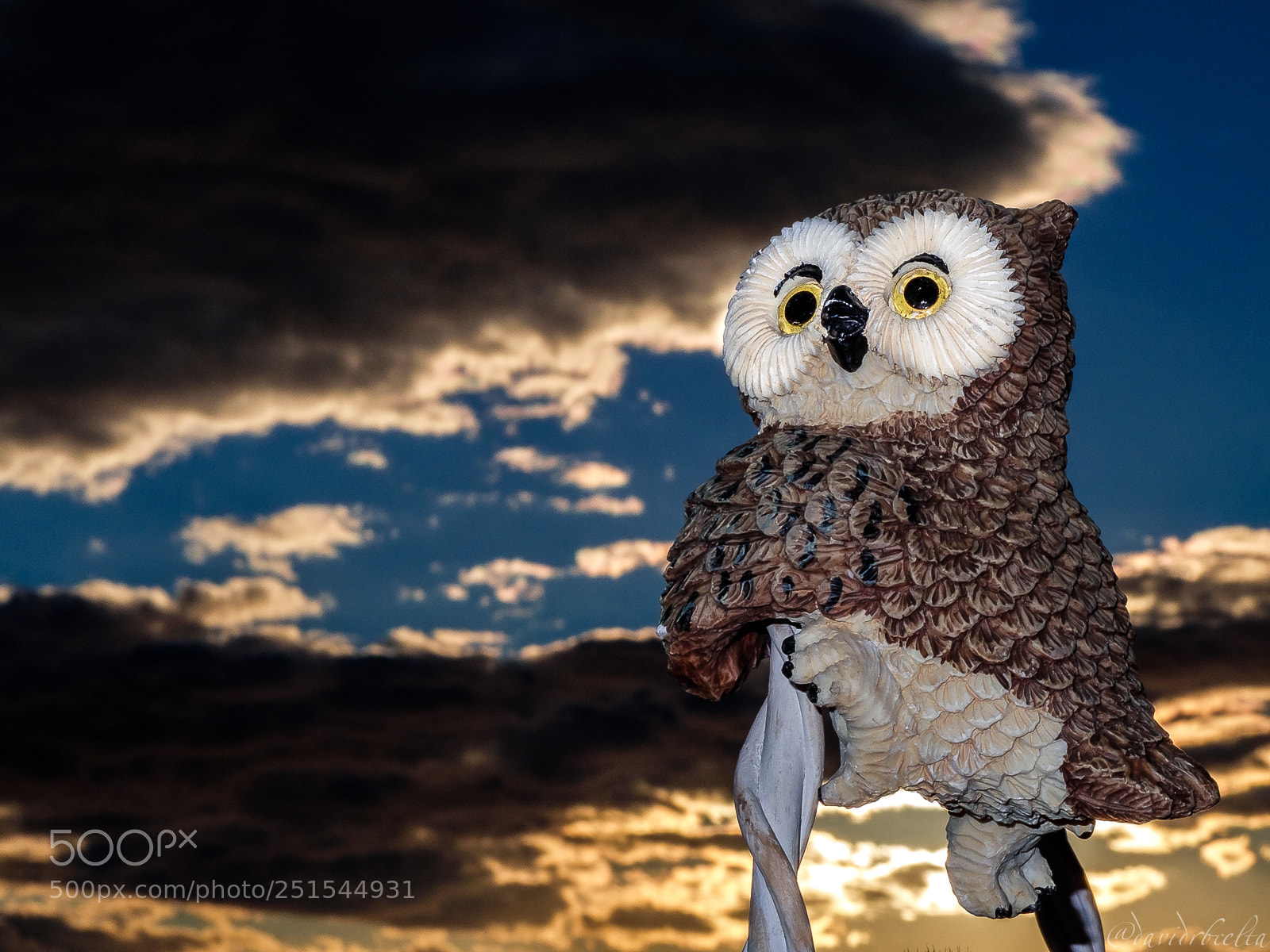 Fujifilm X30 sample photo. The owl's sunset photography
