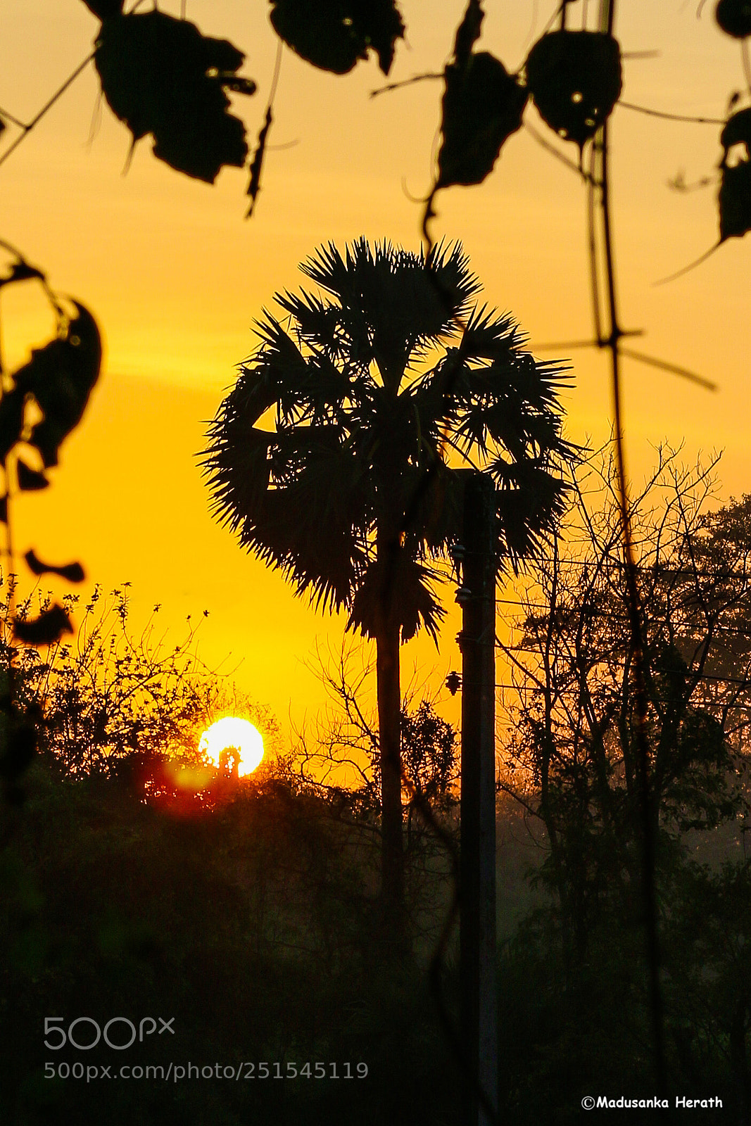Canon EOS 70D sample photo. Sun rising photography