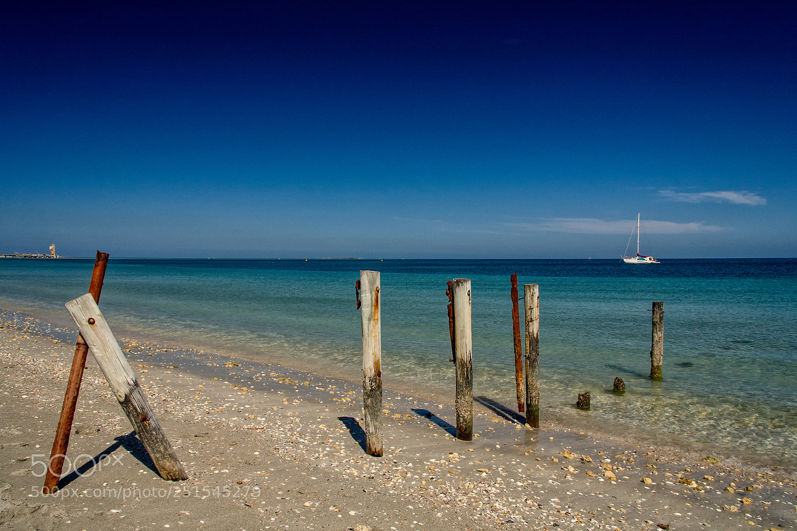 Canon EOS 5D sample photo. Woodman point photography