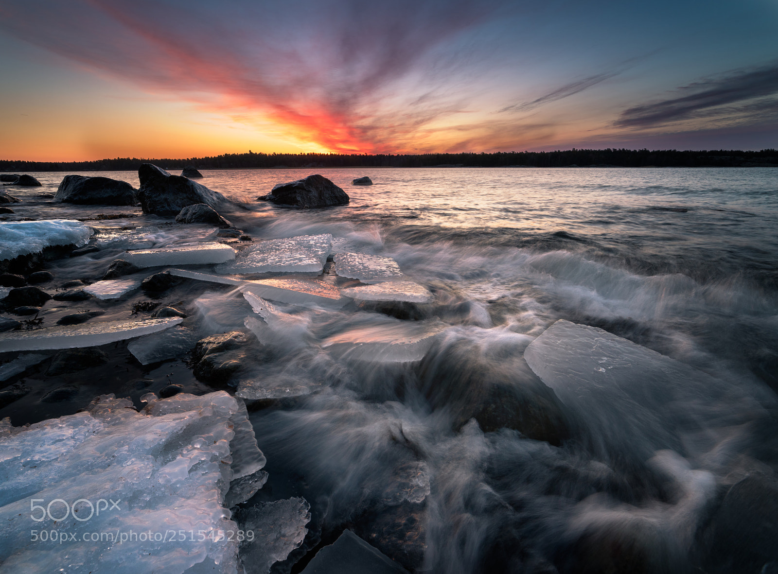 Nikon D810 sample photo. Nynäshamn sweden photography