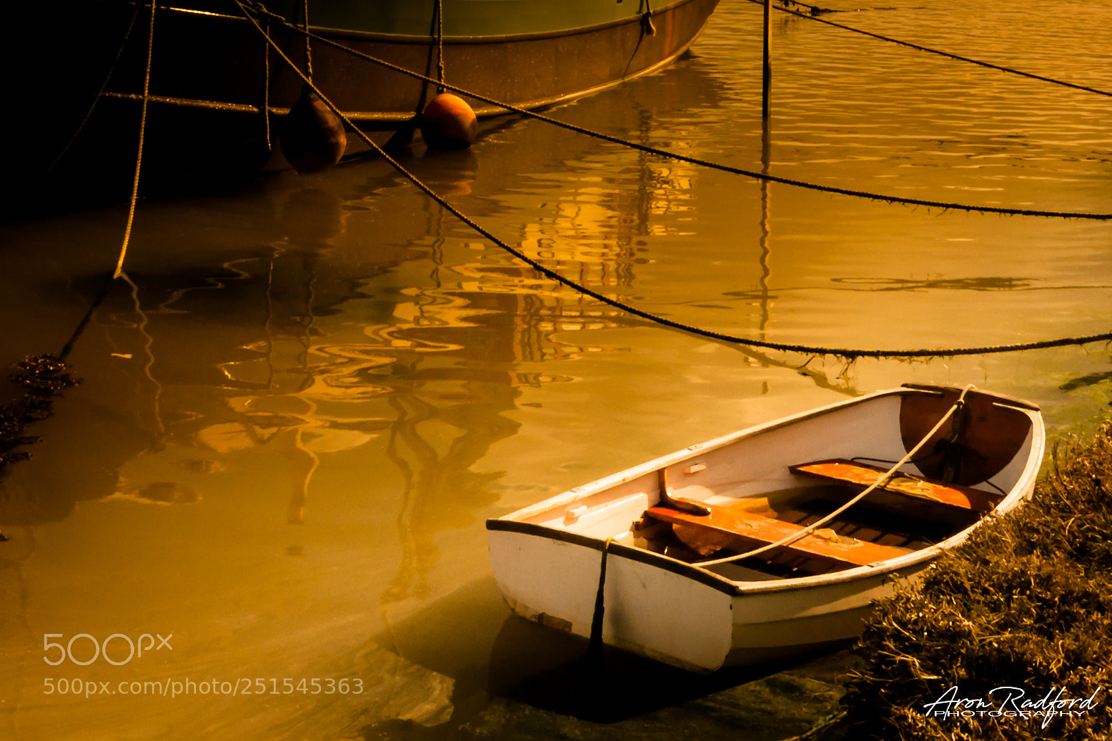 Nikon D5000 sample photo. Golden water photography