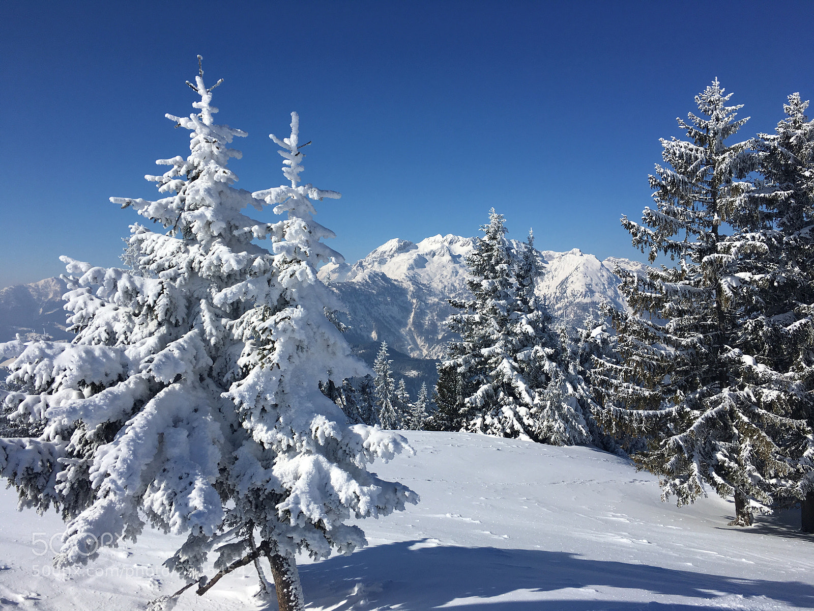 Apple iPhone 6s sample photo. Winterwonderland photography