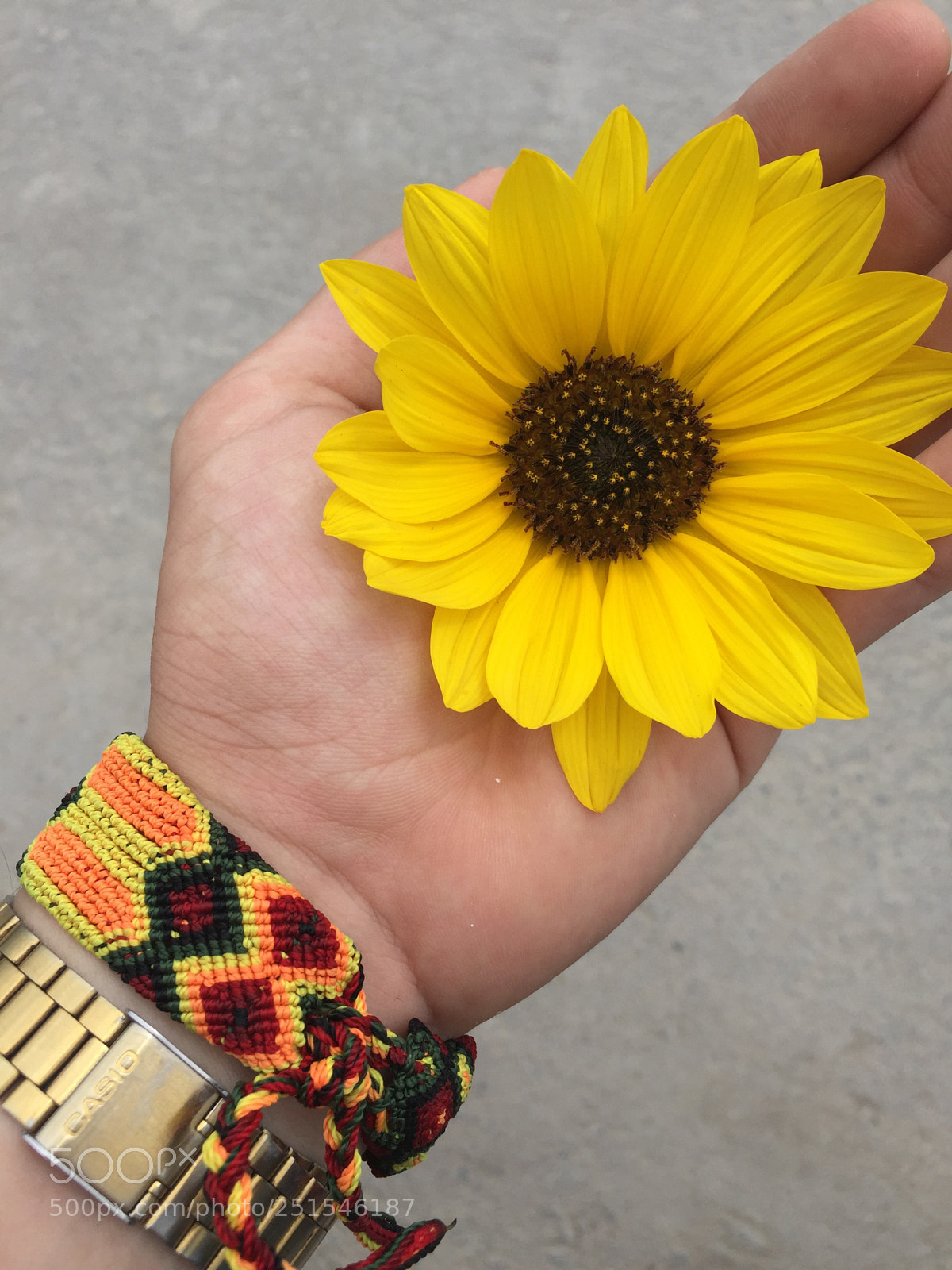 Apple iPhone 6 sample photo. Something different  photography