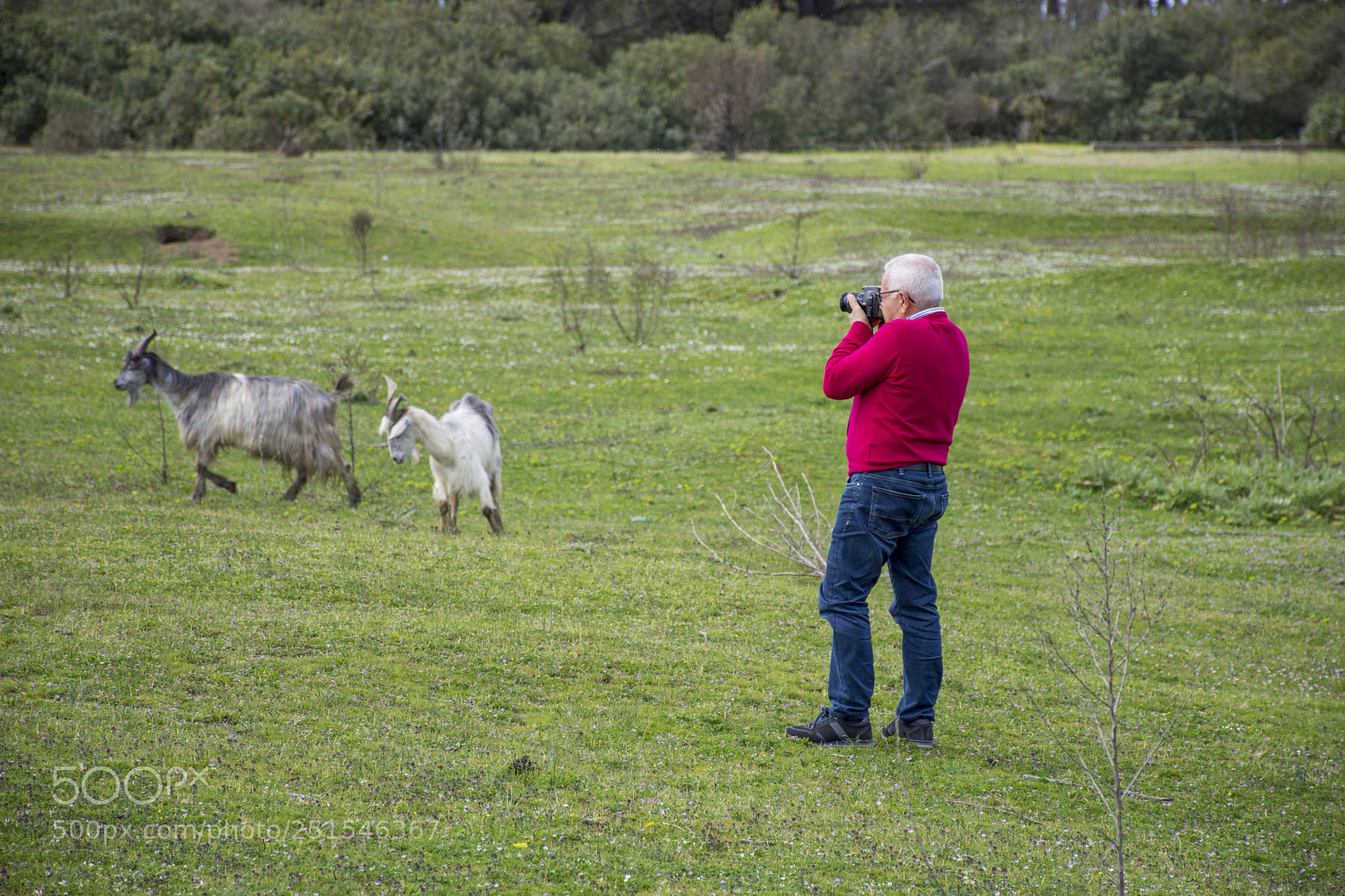 Nikon D7200 sample photo. Il fotografo photography