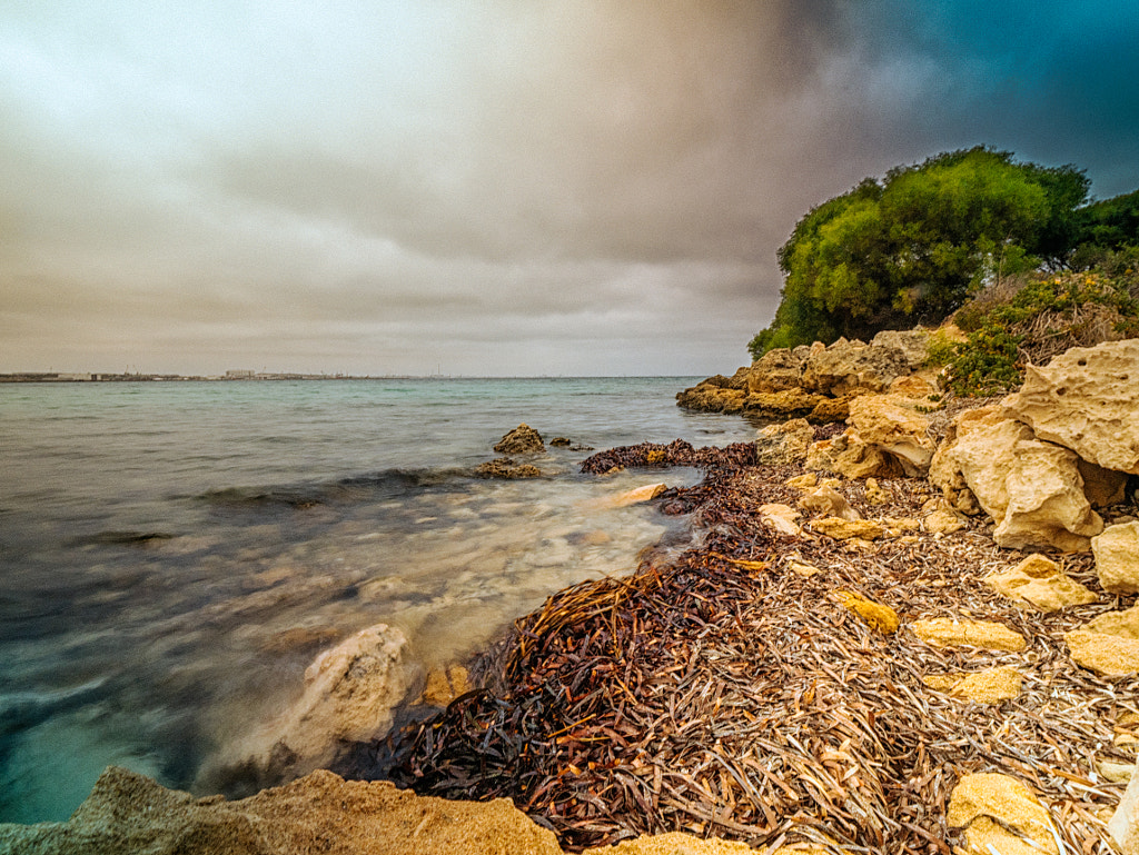 Woodman Point by Paul Amyes on 500px.com