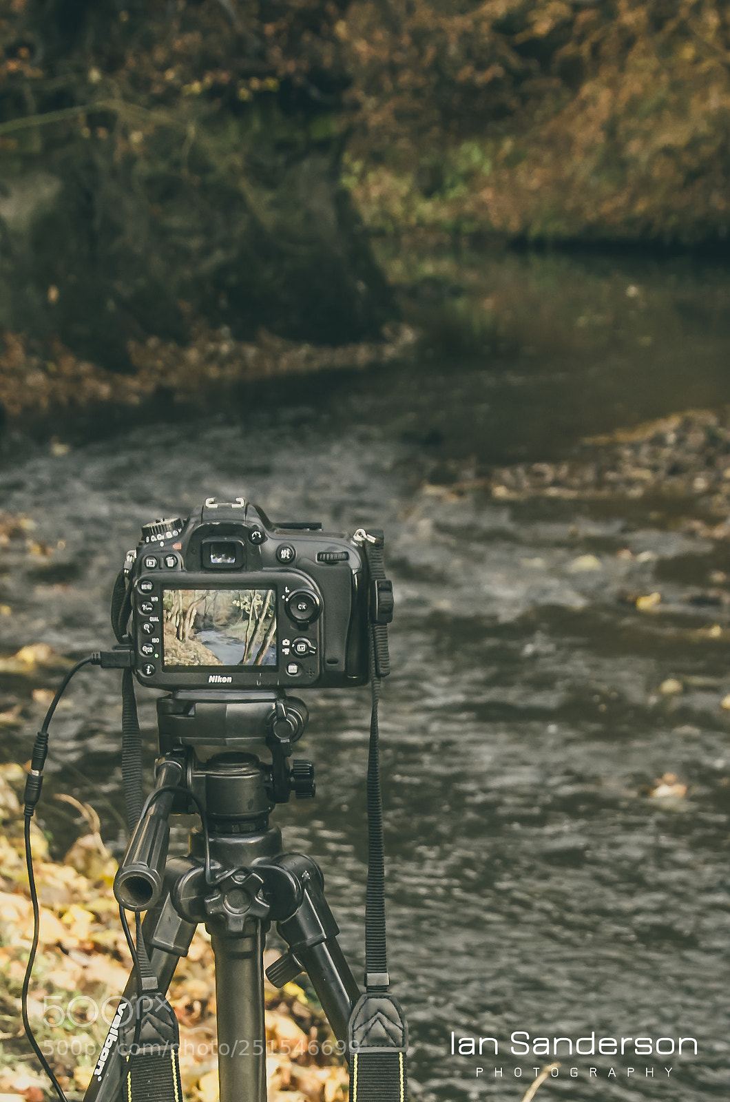 Nikon D5100 sample photo. Behind the shot photography